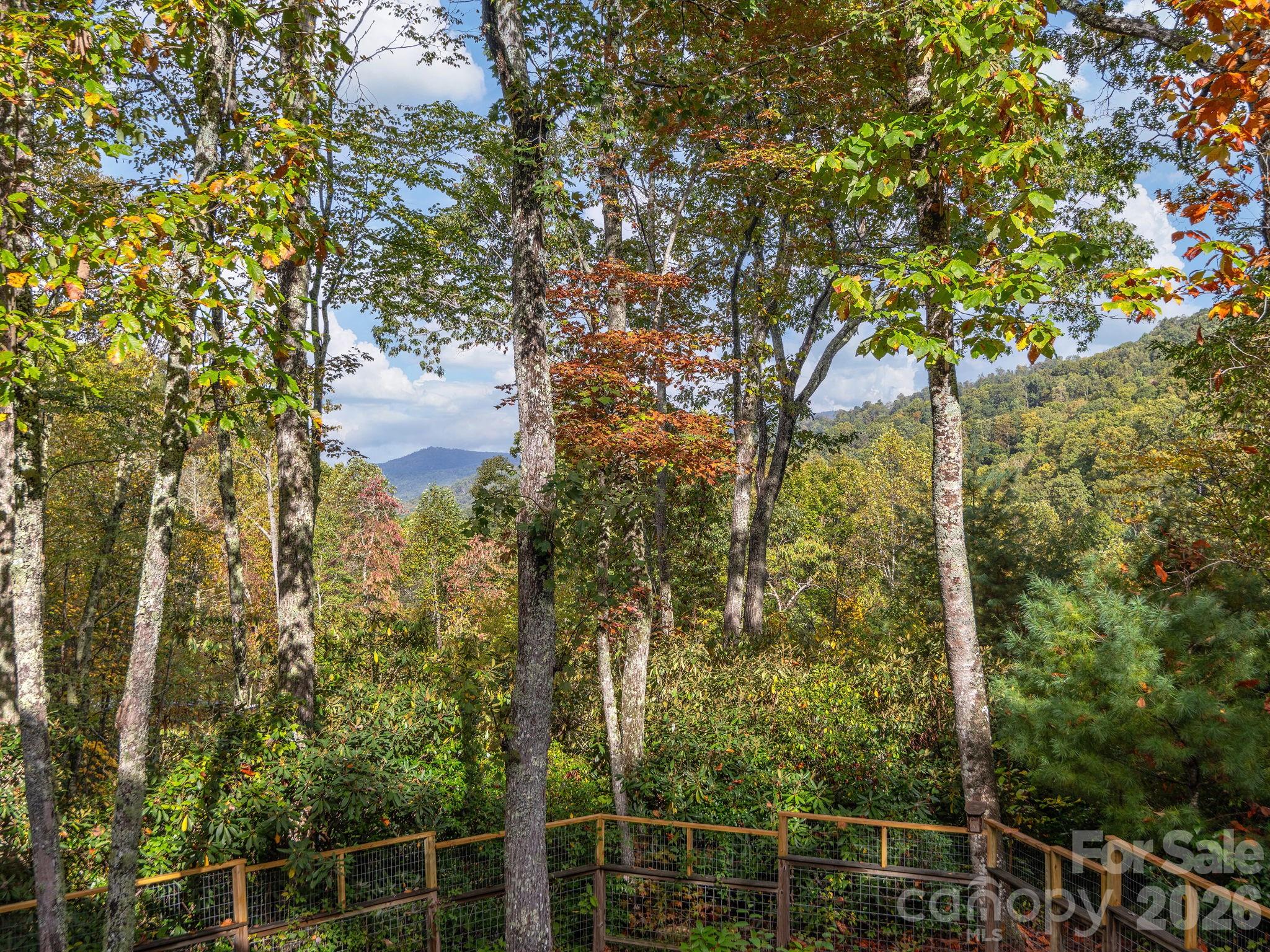 102 And 104 Carriage Drive Fairview NC 28730