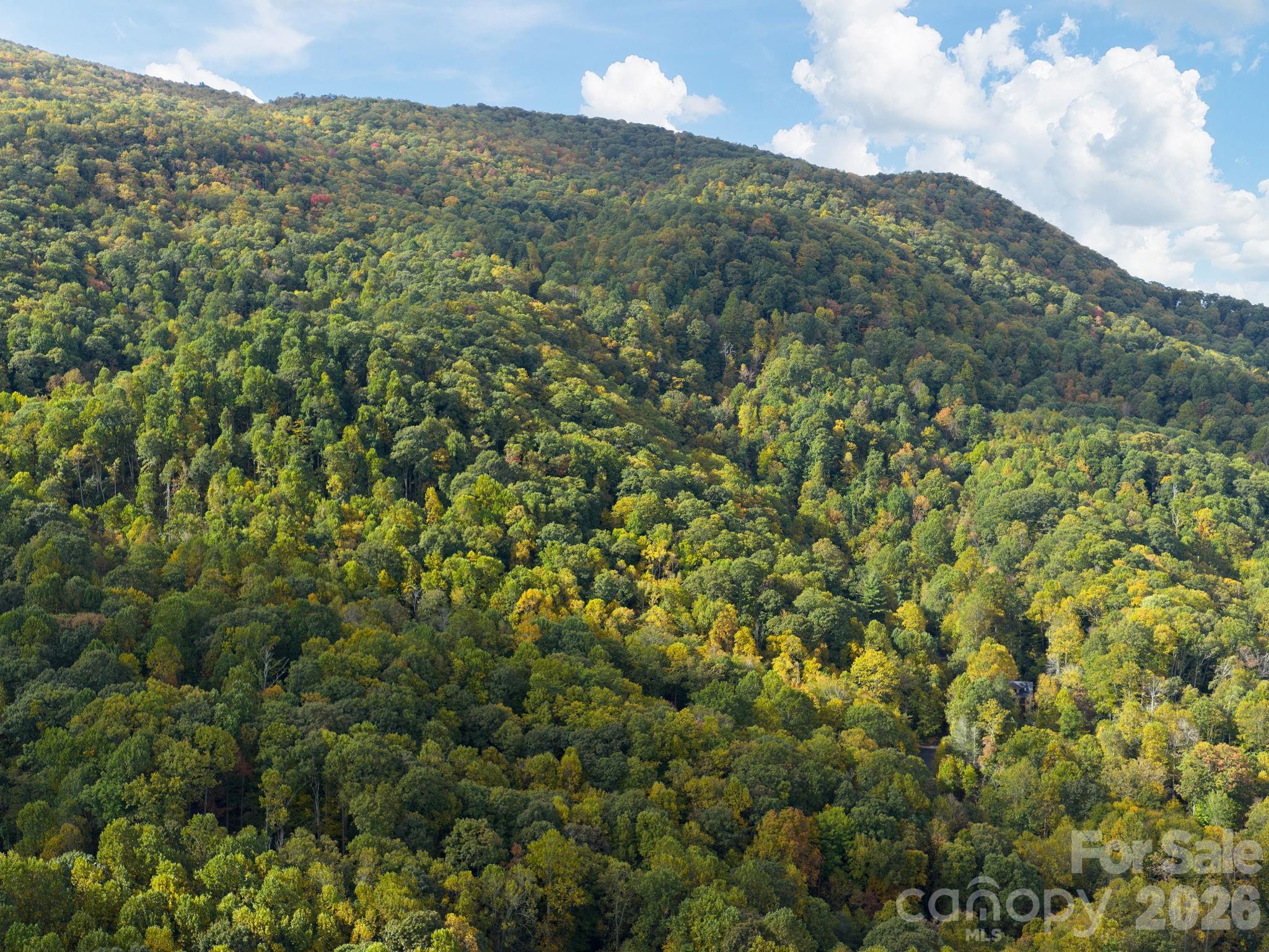 102 And 104 Carriage Drive Fairview NC 28730