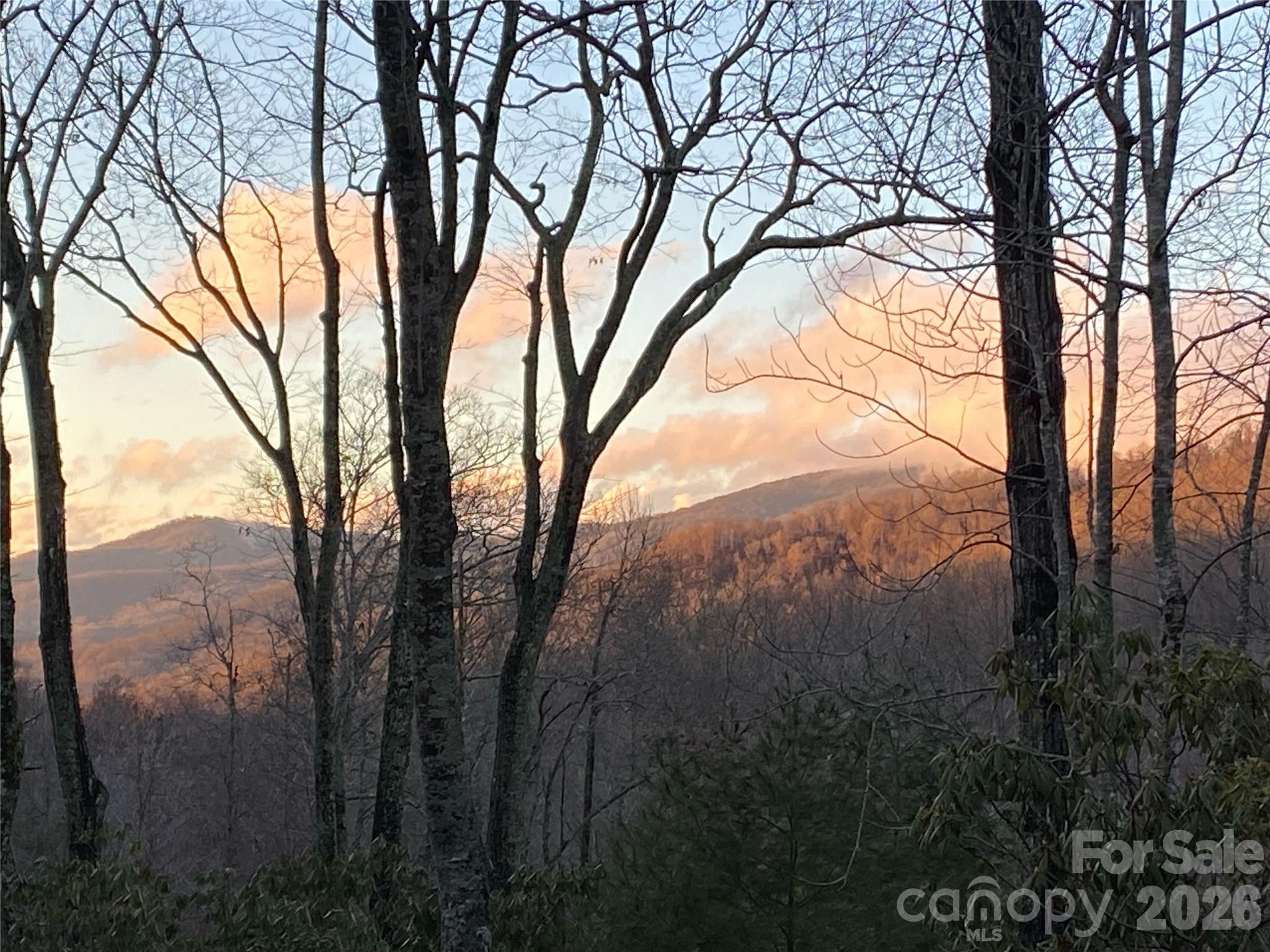 102 And 104 Carriage Drive Fairview NC 28730