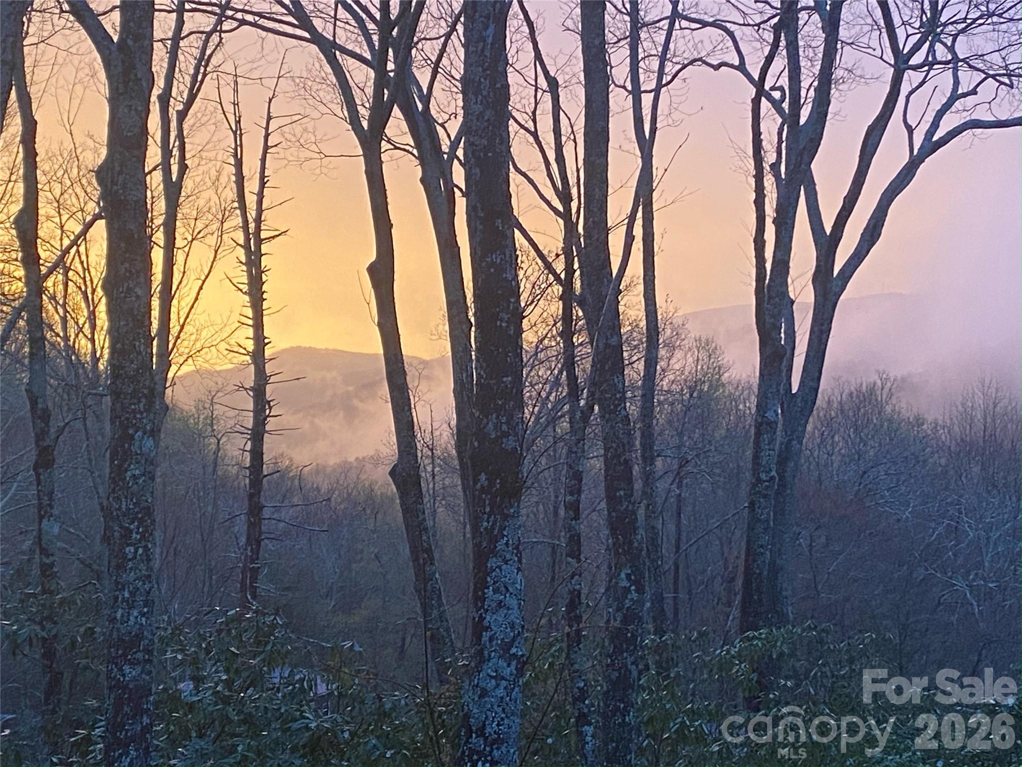102 And 104 Carriage Drive Fairview NC 28730
