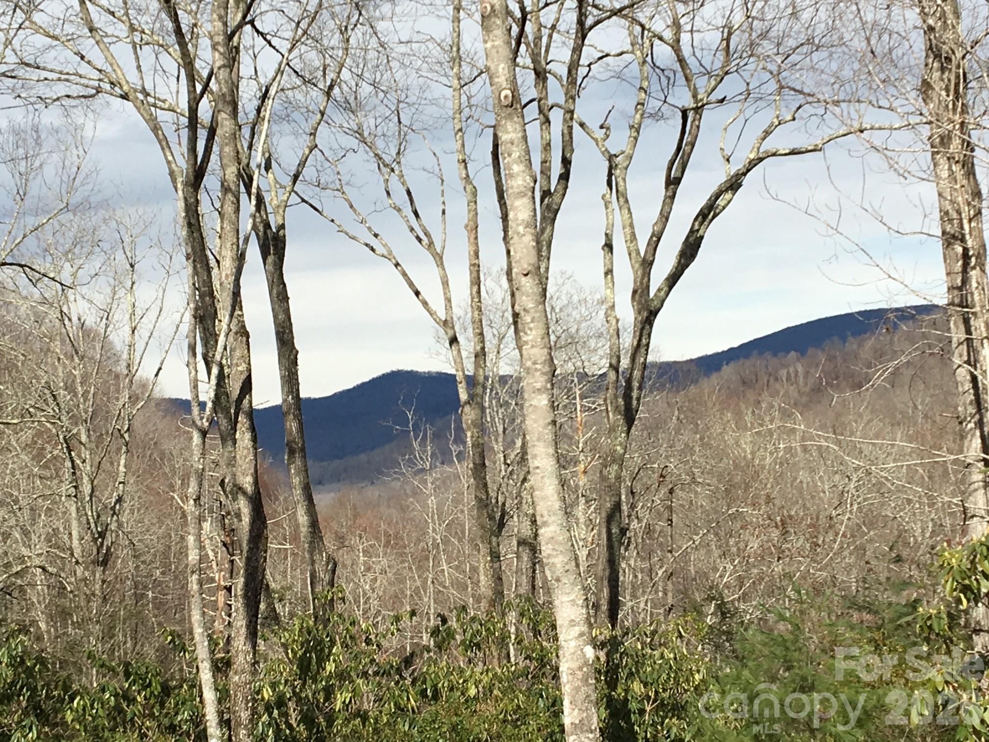 102 And 104 Carriage Drive Fairview NC 28730
