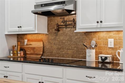 295 Worthington Drive Mt Ulla NC 28125