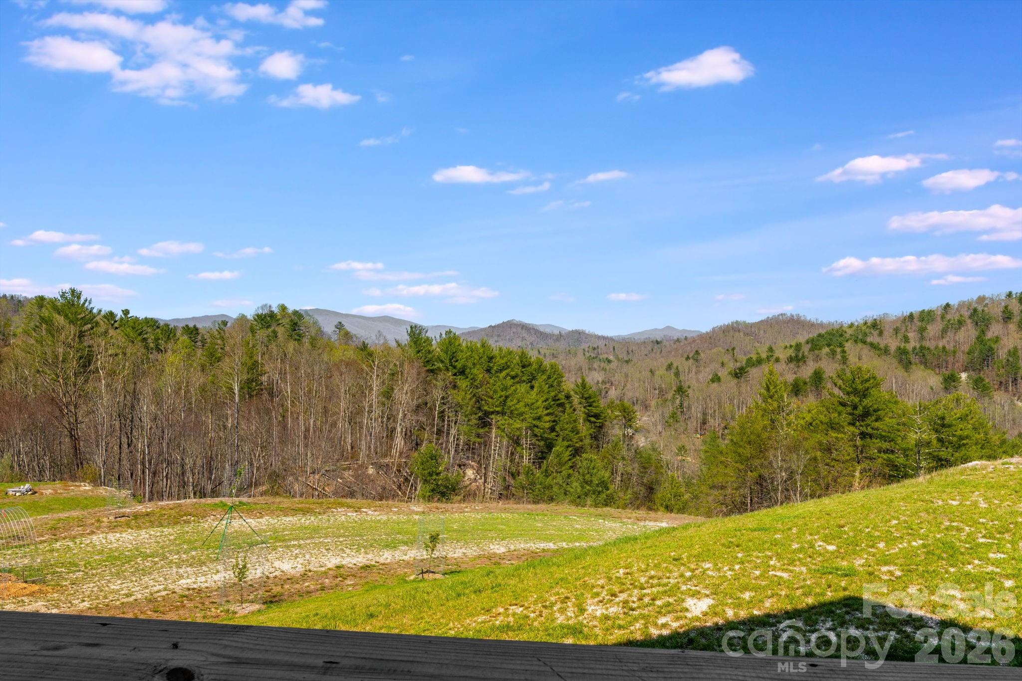 4530 Double Island Road Green Mountain NC 28740