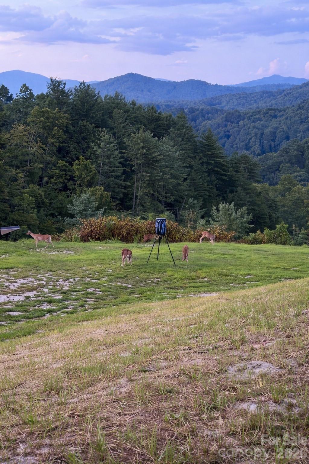 4530 Double Island Road Green Mountain NC 28740