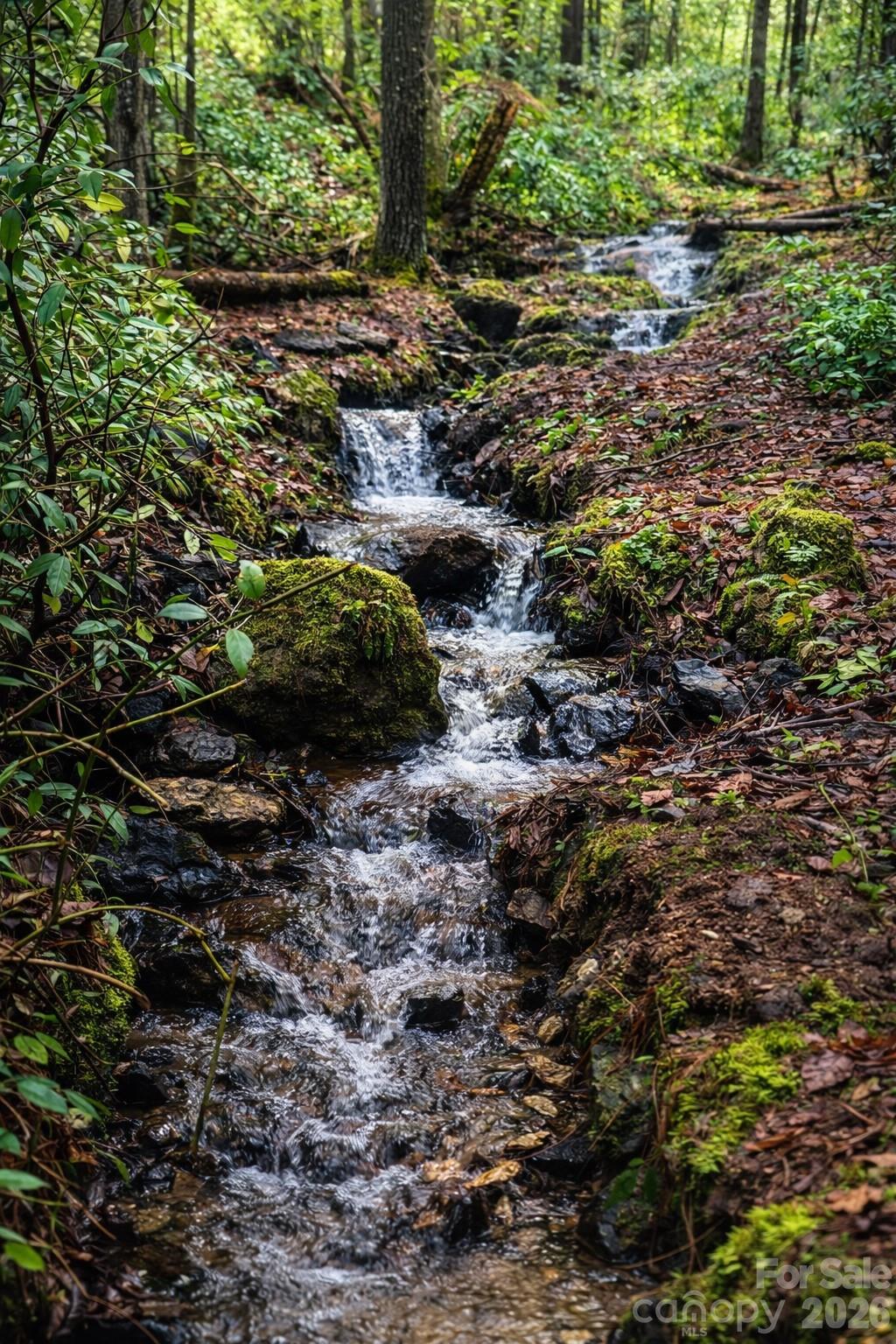 4530 Double Island Road Green Mountain NC 28740