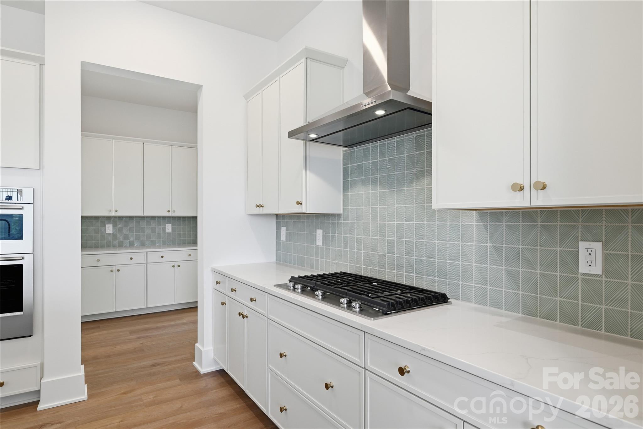 1049 Pinecone Avenue Indian Land SC 29707