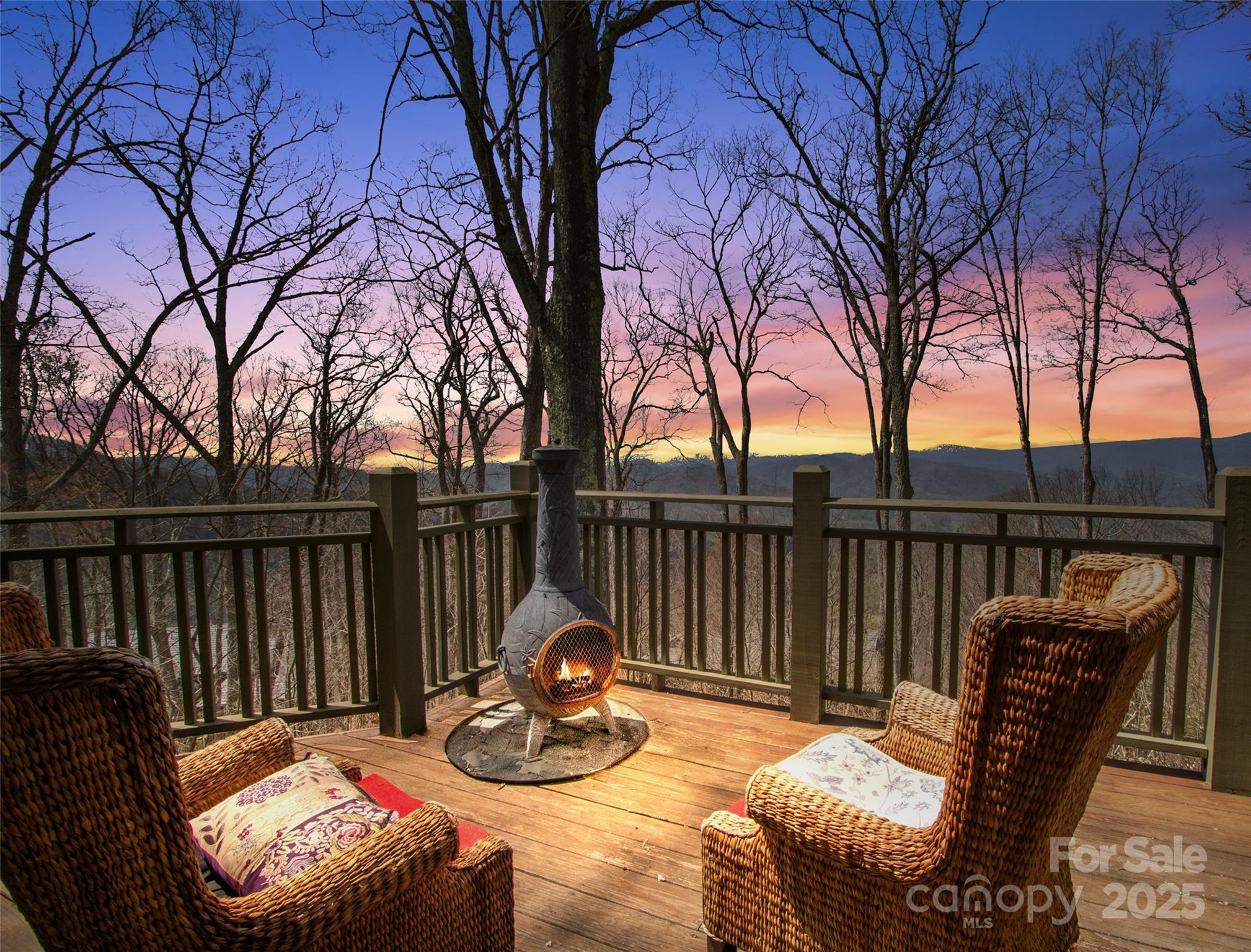 20 Springflower Court Burnsville NC 28714