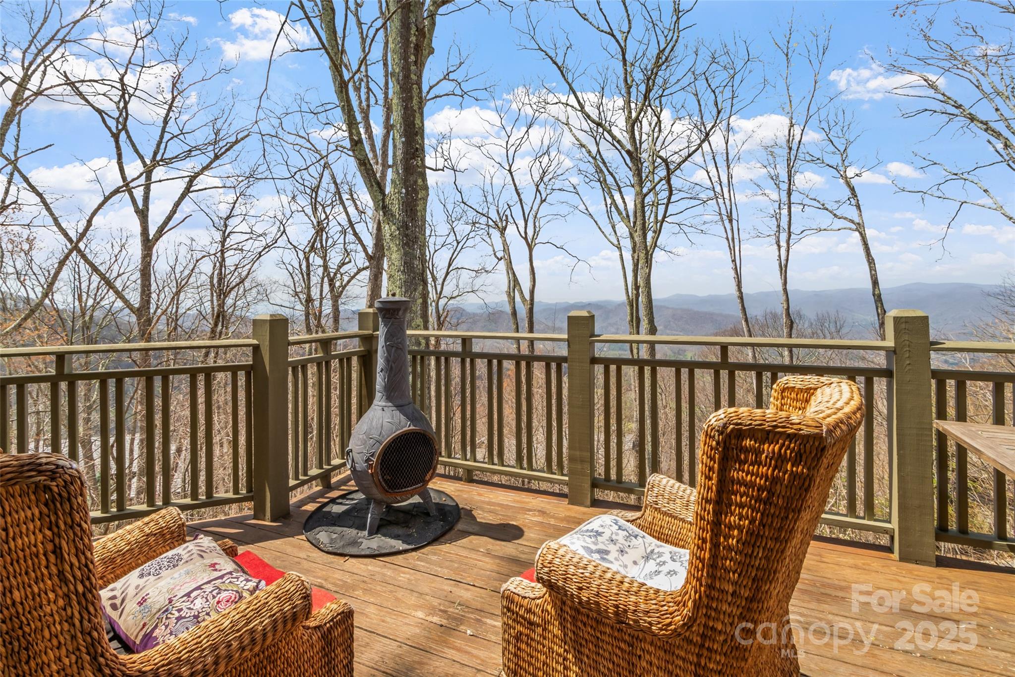 20 Springflower Court Burnsville NC 28714