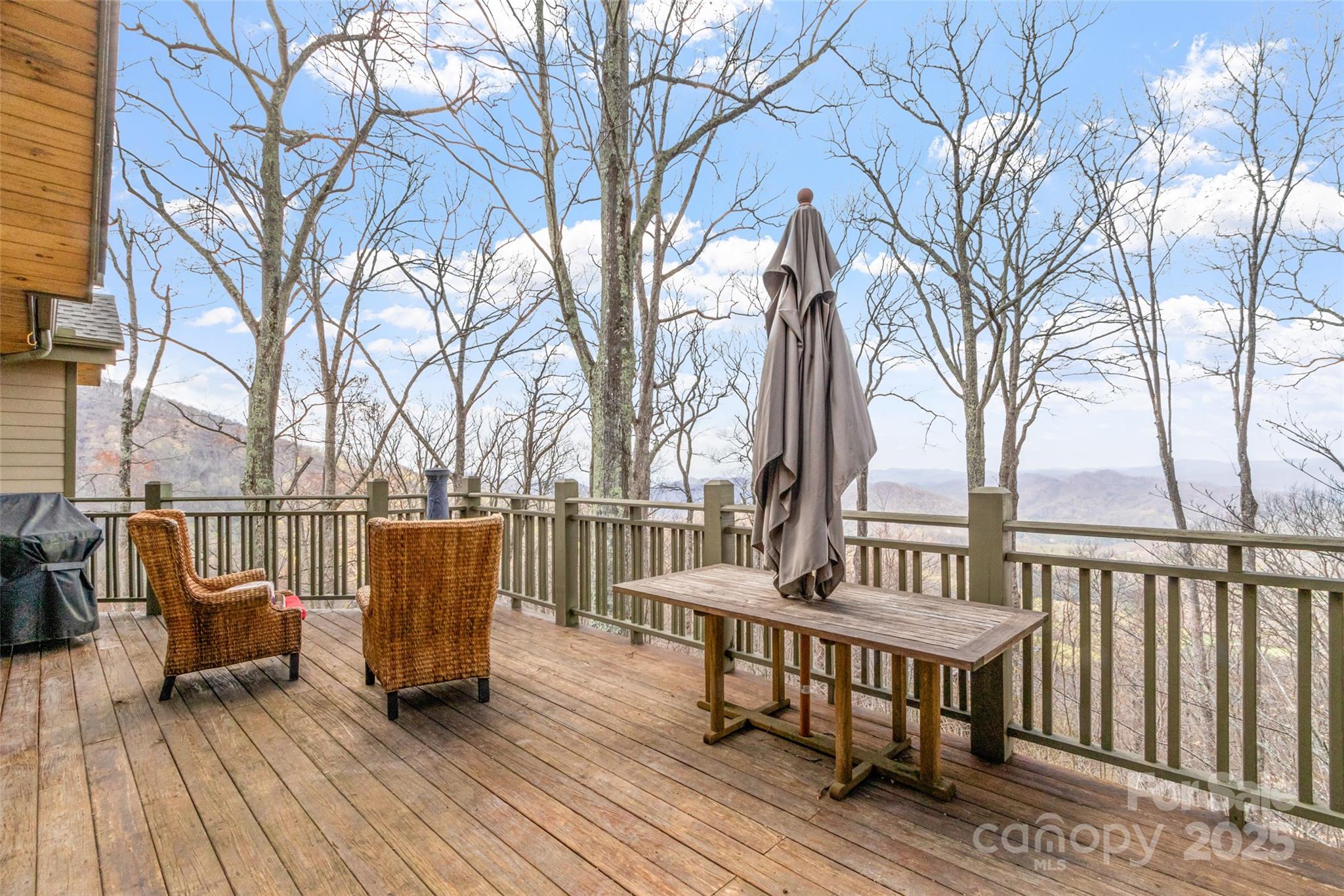 20 Springflower Court Burnsville NC 28714