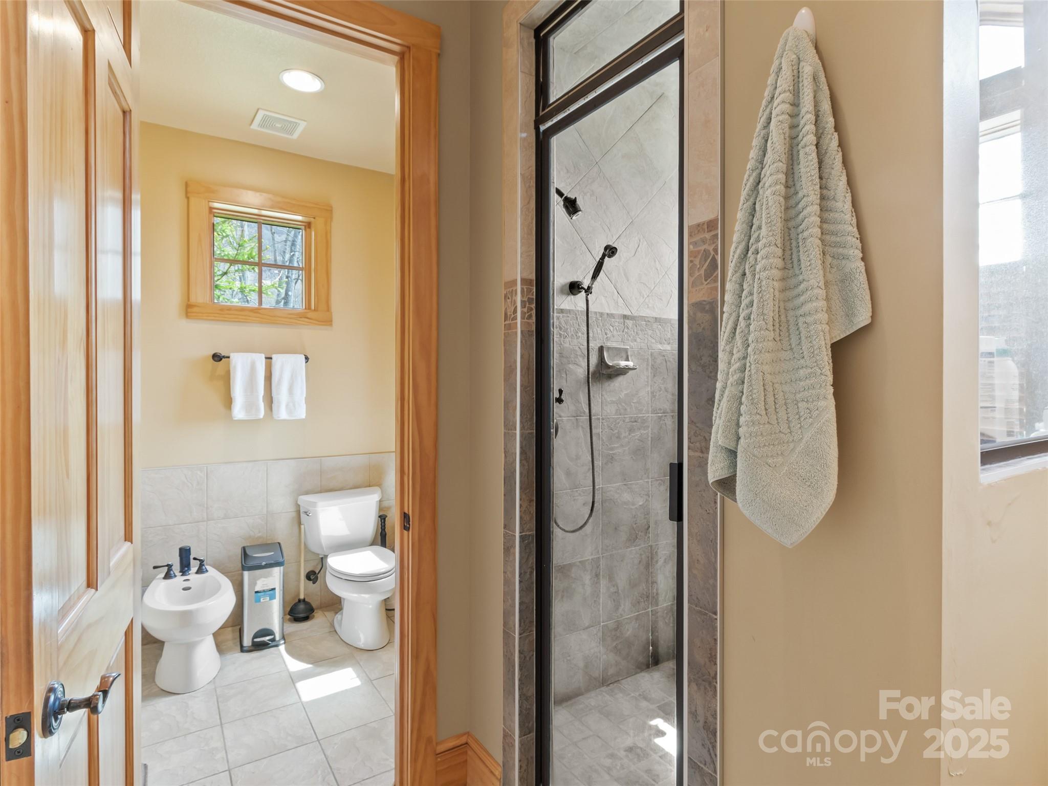 20 Springflower Court Burnsville NC 28714