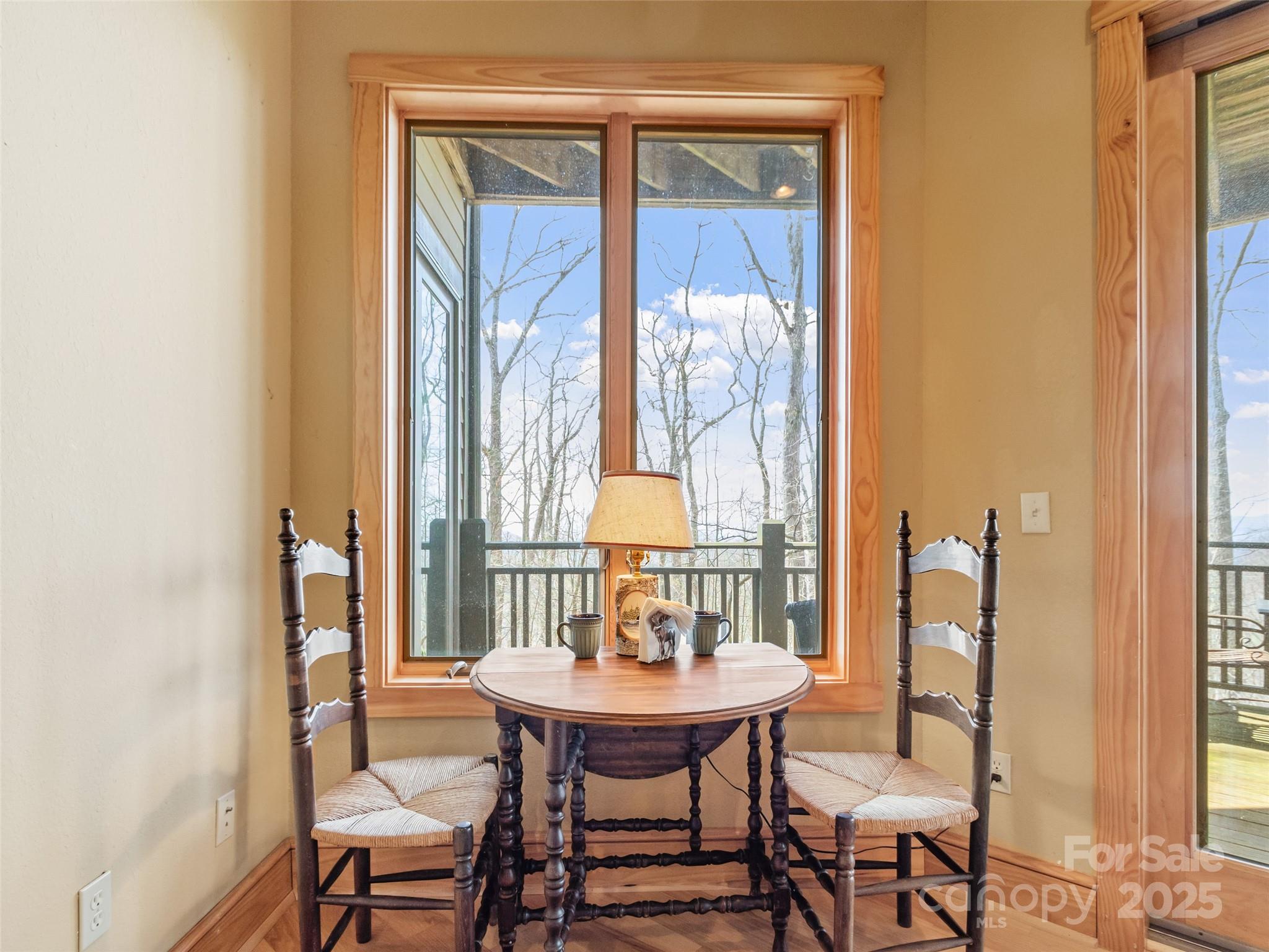20 Springflower Court Burnsville NC 28714