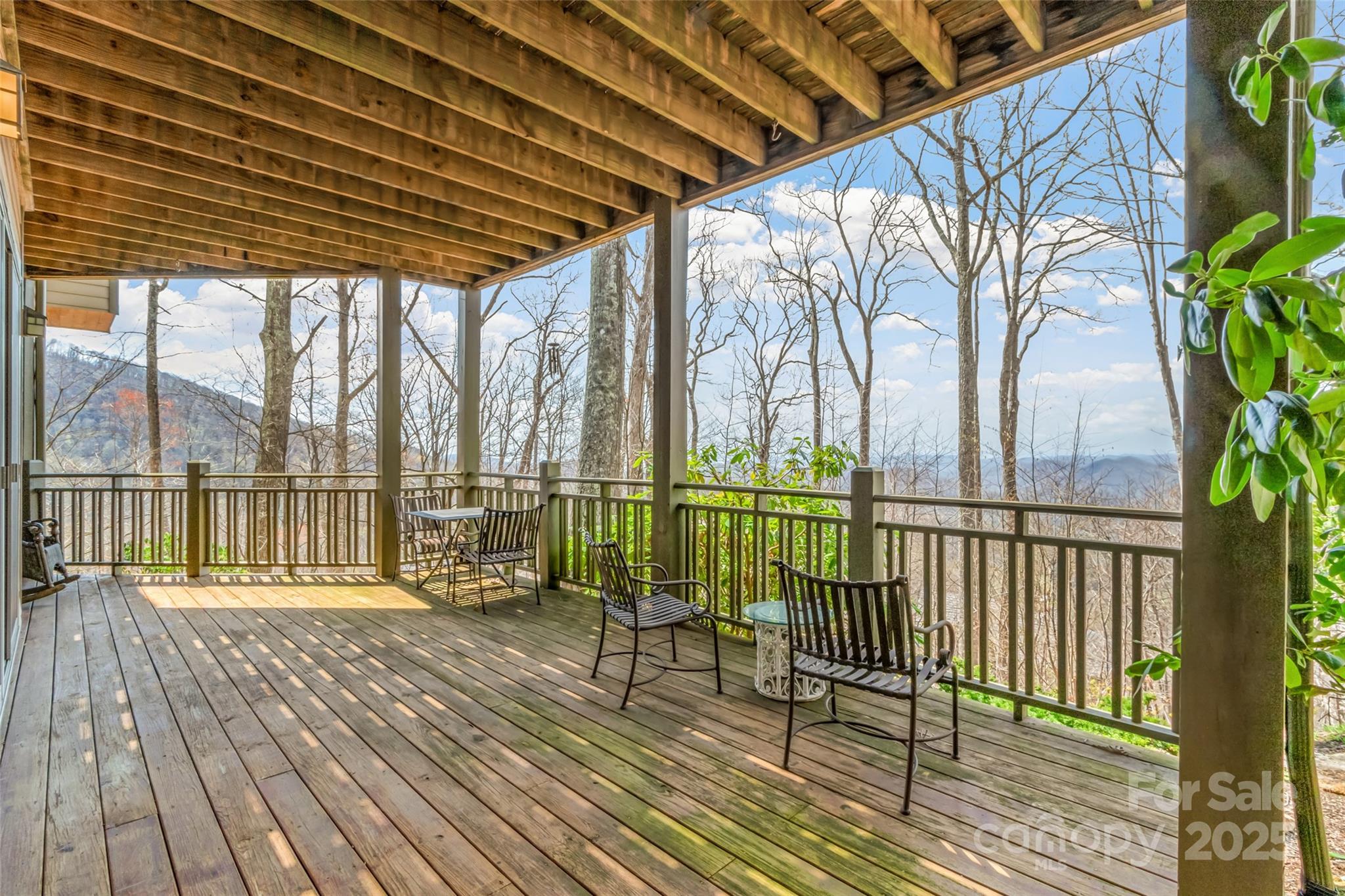 20 Springflower Court Burnsville NC 28714