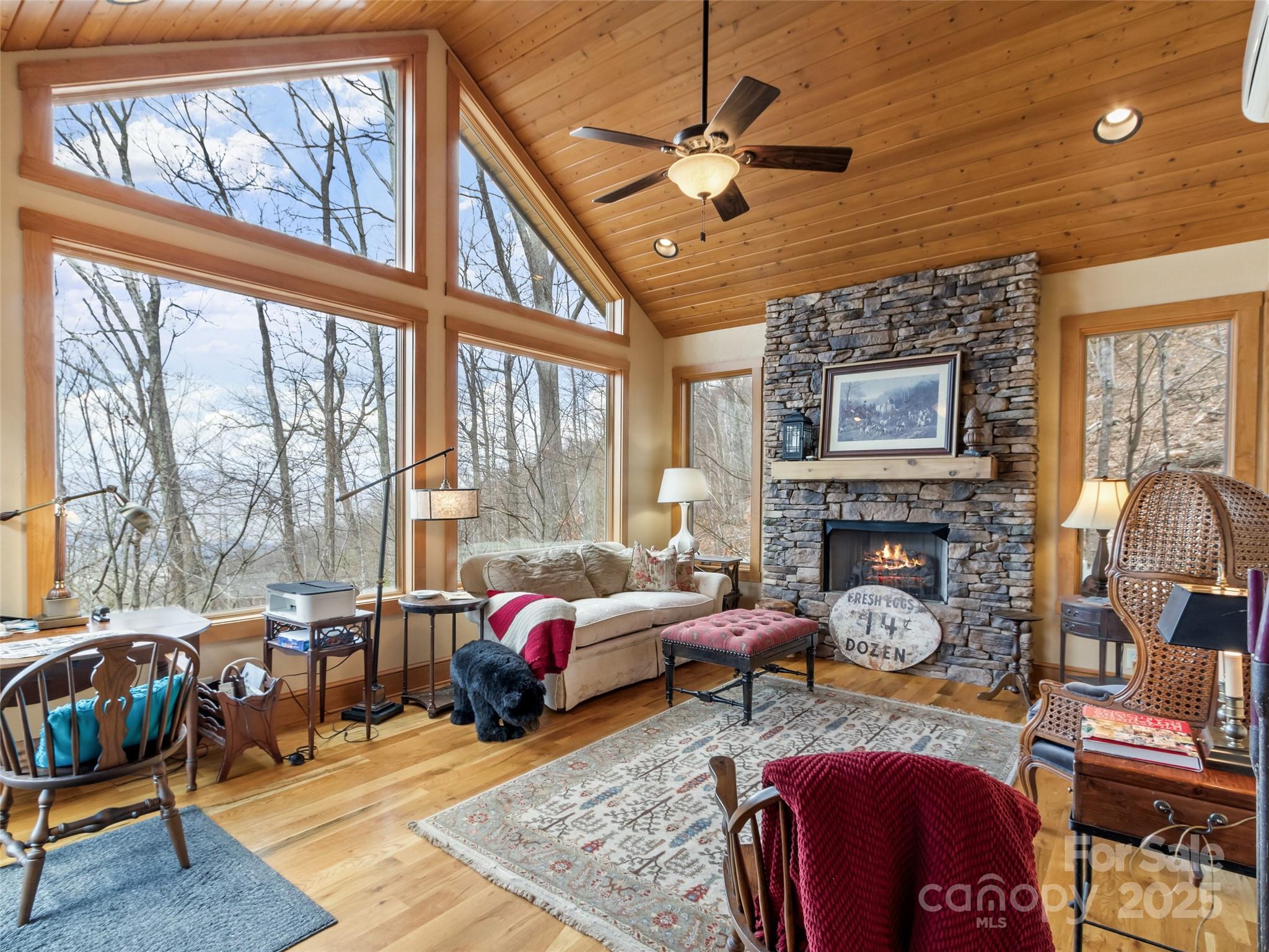 20 Springflower Court Burnsville NC 28714