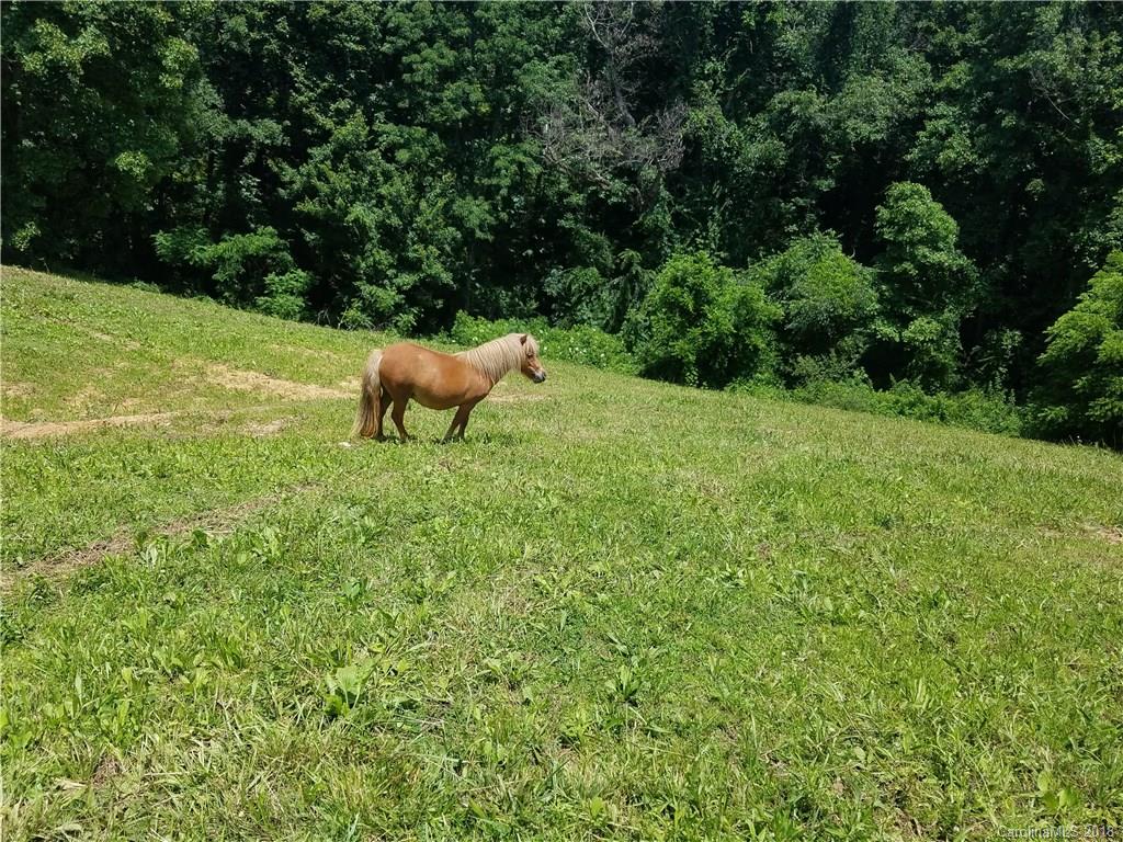 1259 Windswept Ridge Road Marshall NC 28753
