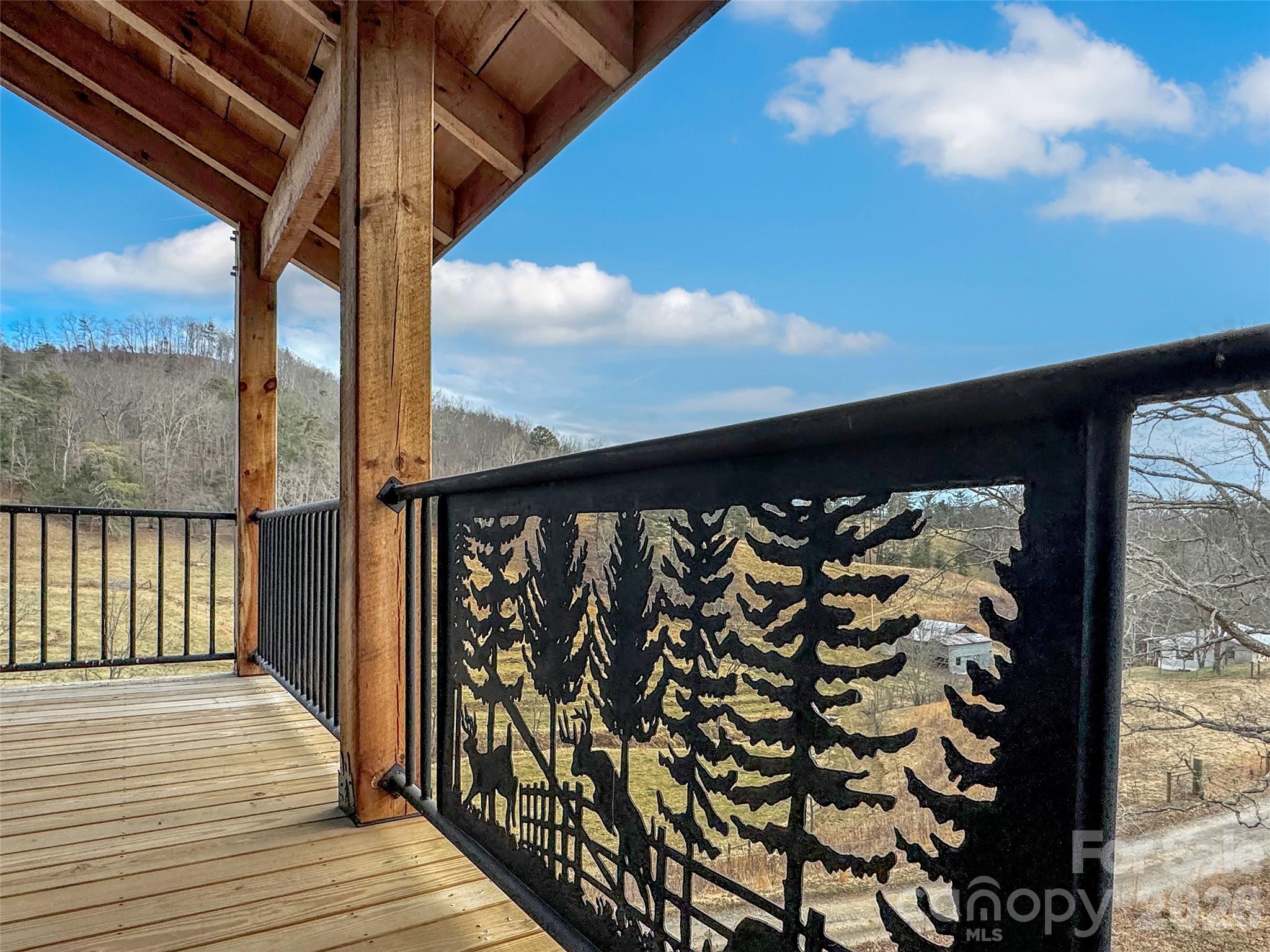 171 Cowtail Cove Clyde NC 28721