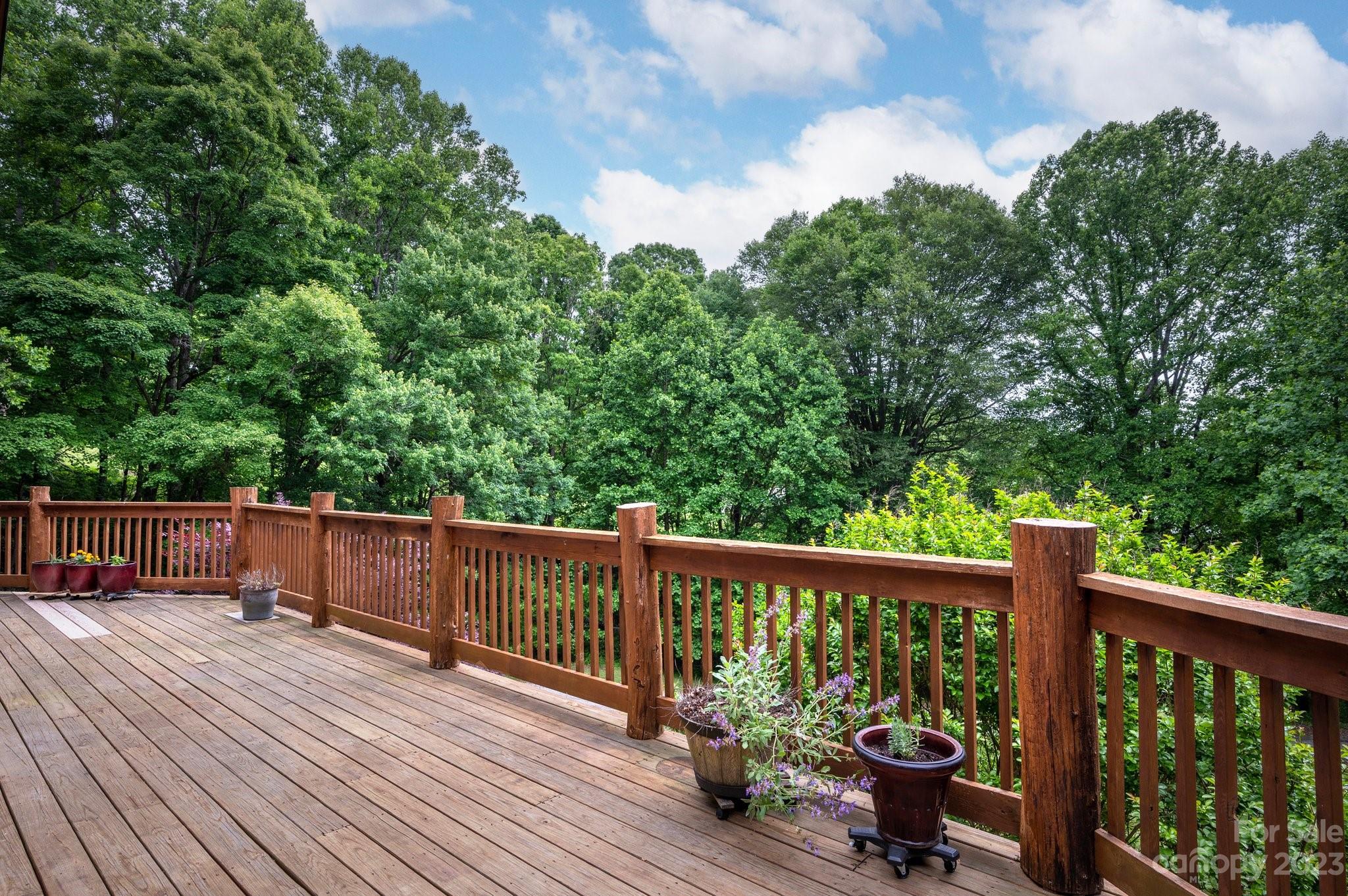 16 N Foothills Drive Mills River NC 28759