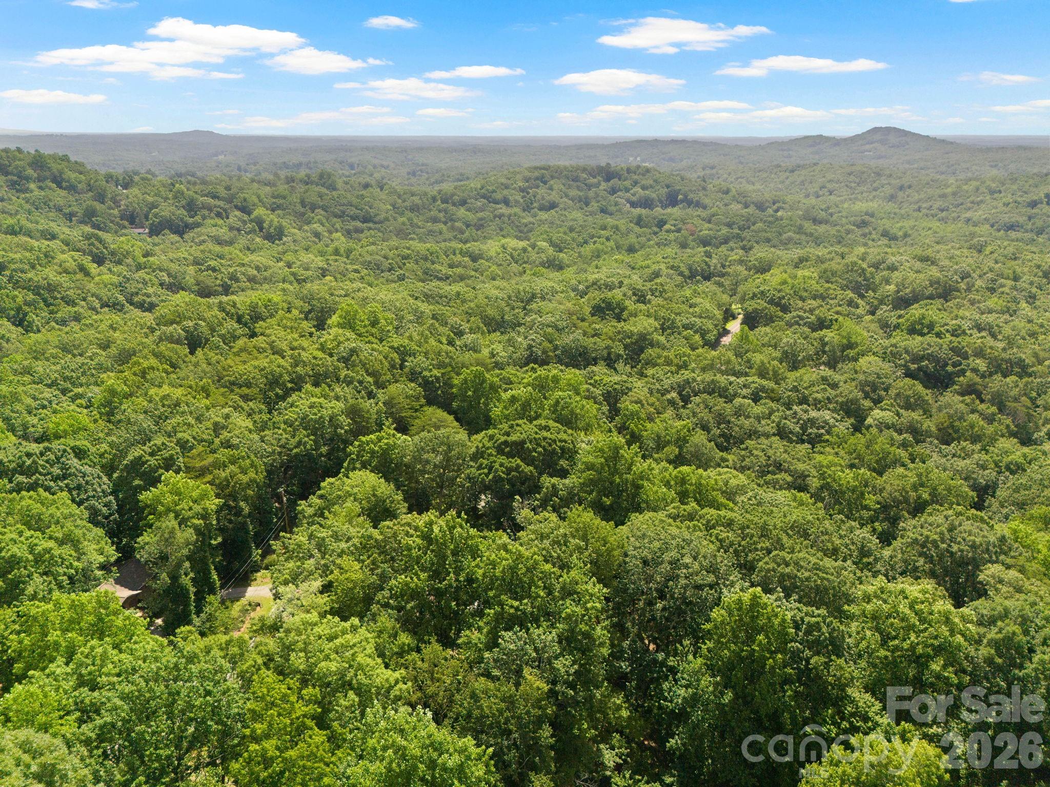56 Cardinal Circle Tryon NC 28782