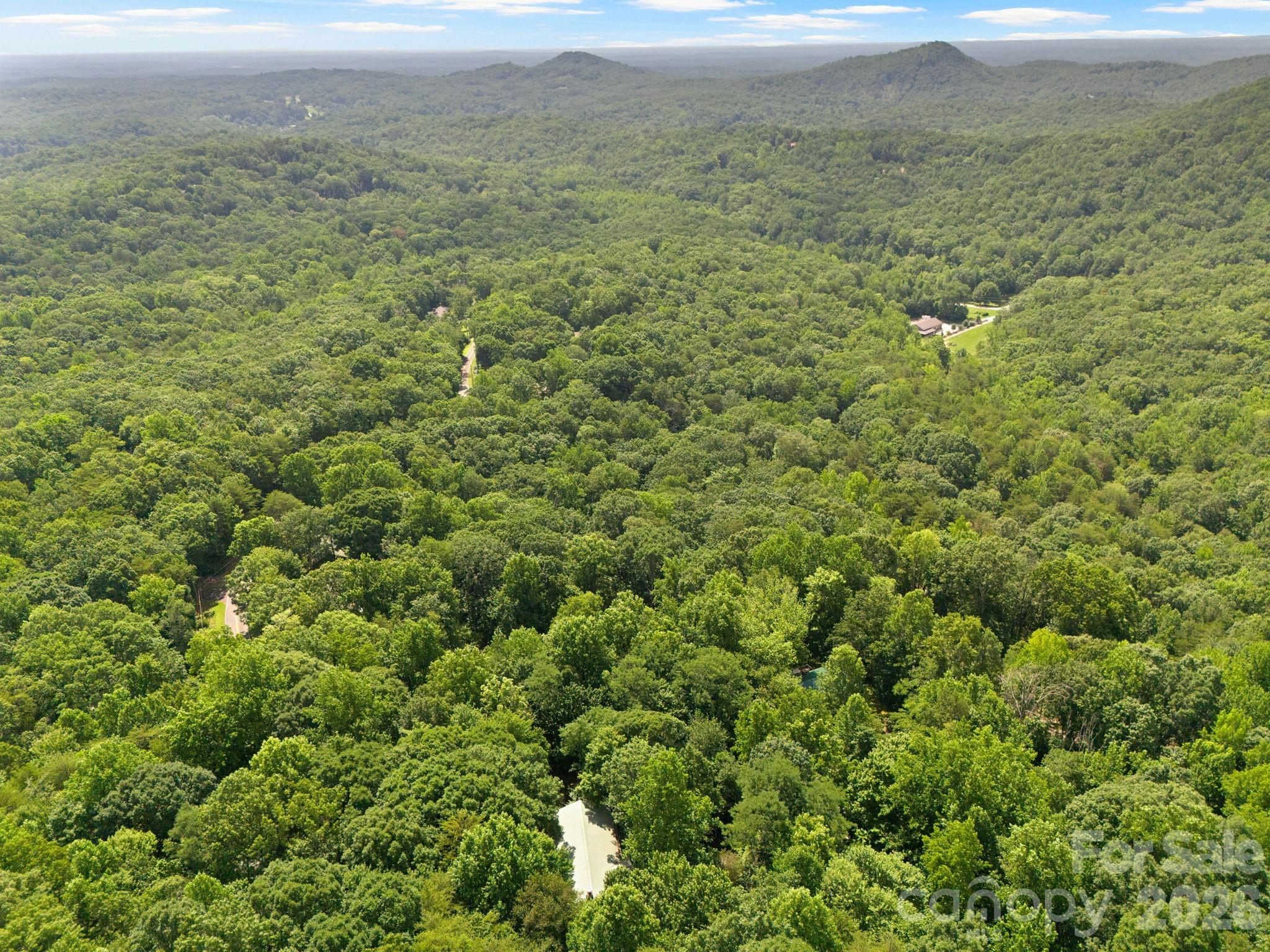 56 Cardinal Circle Tryon NC 28782