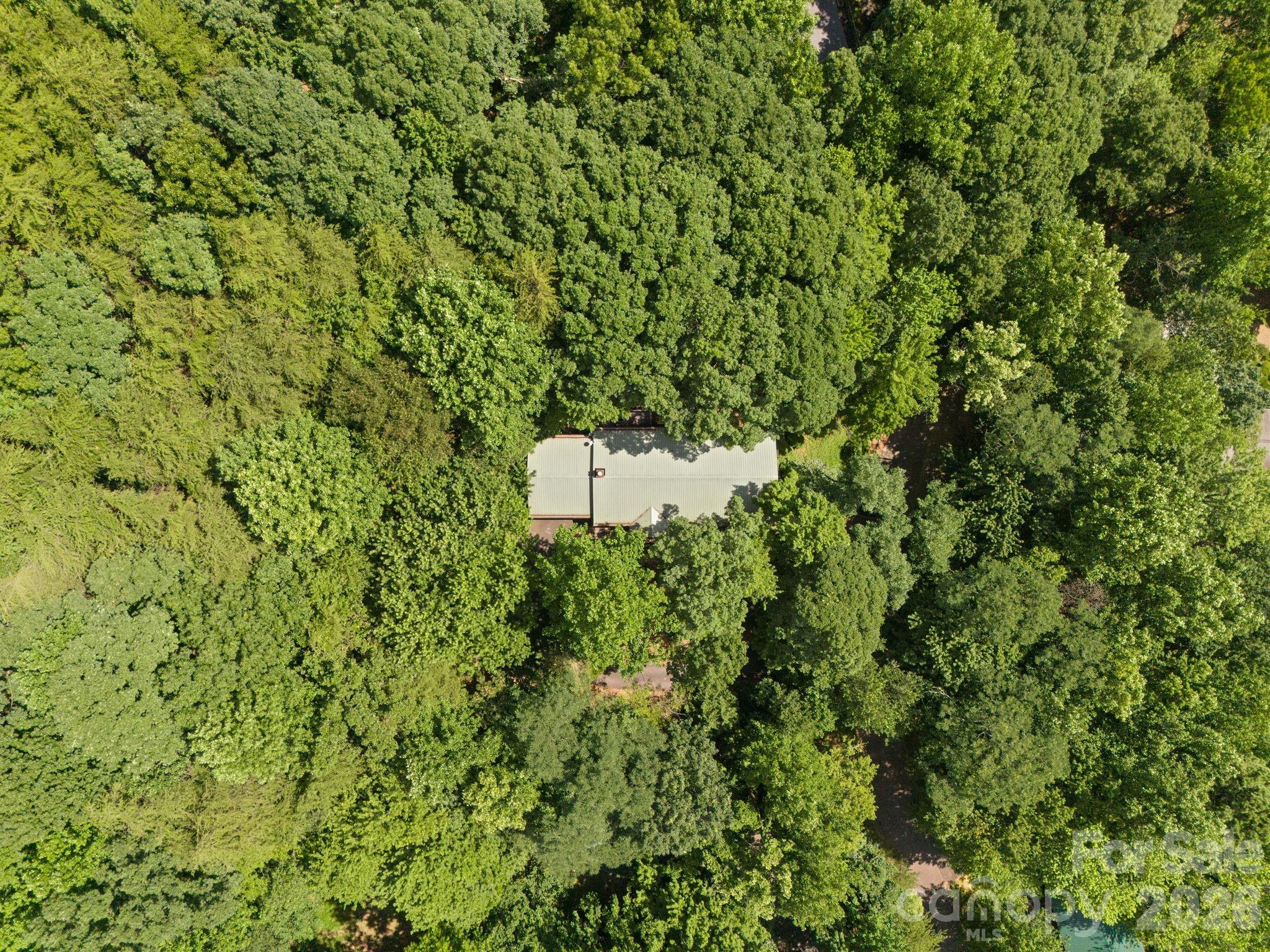 56 Cardinal Circle Tryon NC 28782