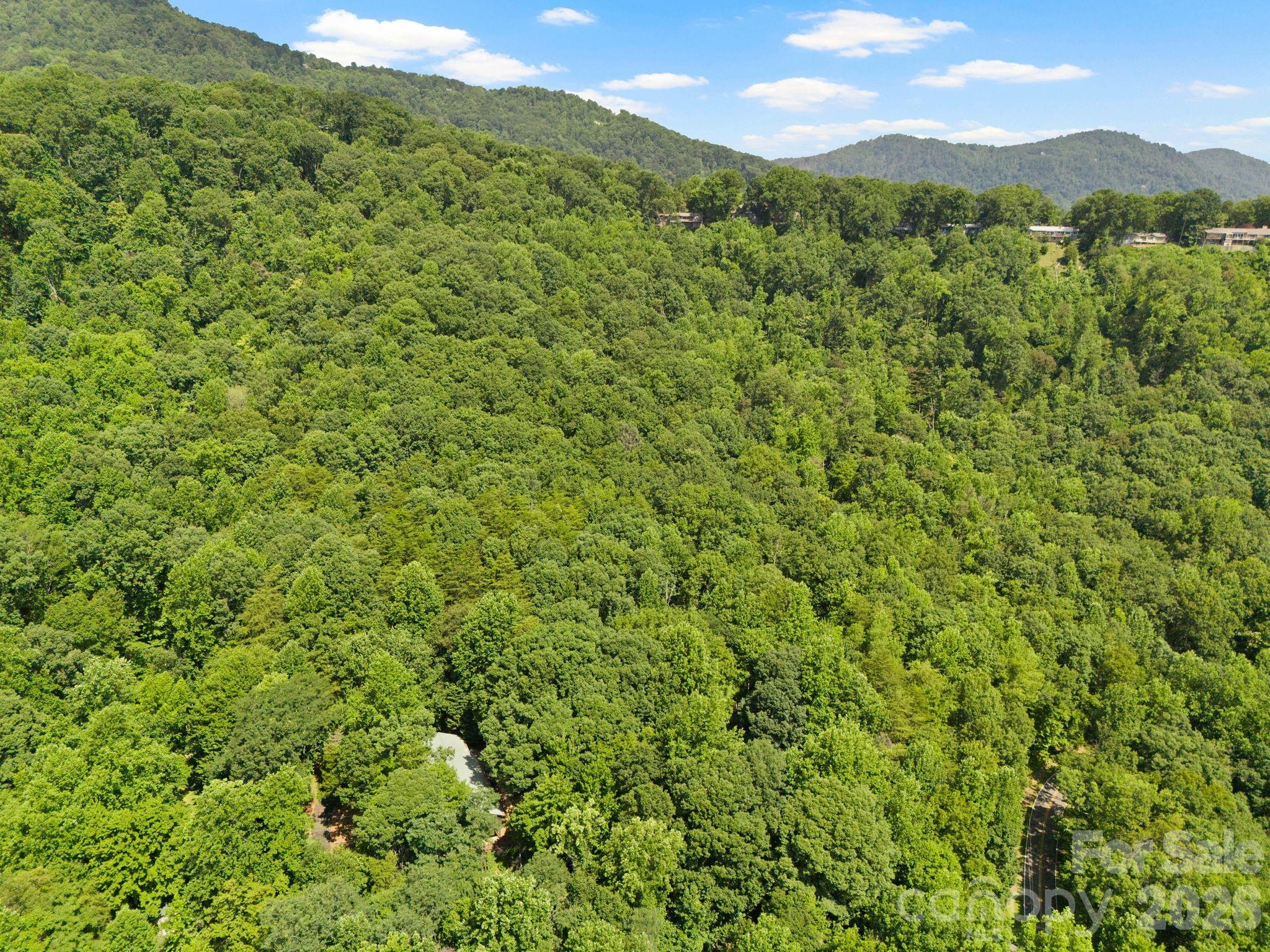 56 Cardinal Circle Tryon NC 28782