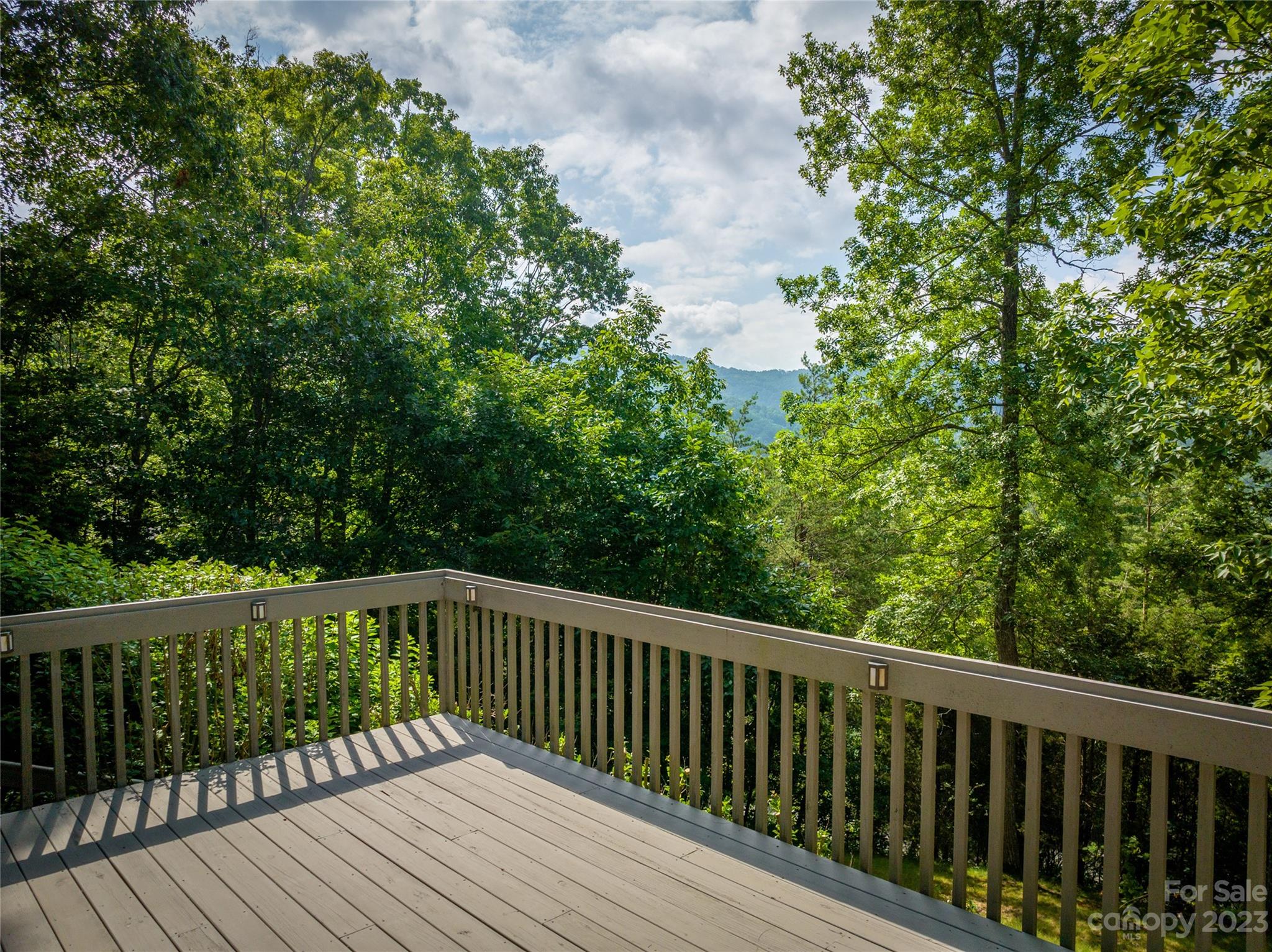 125 Black Oak Drive Asheville NC 28804