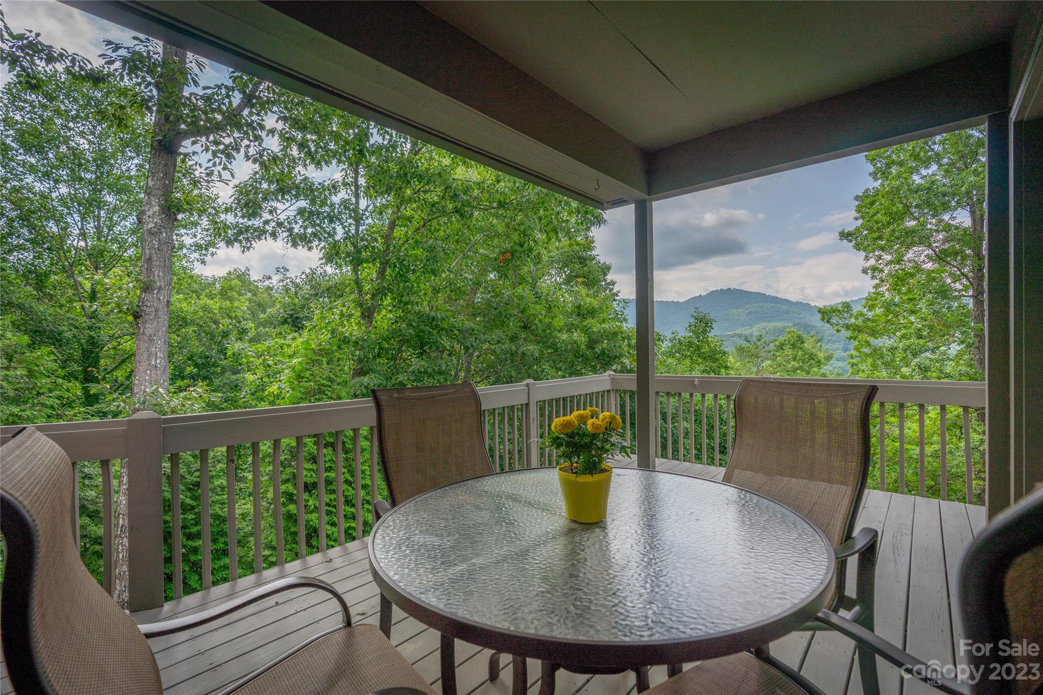 125 Black Oak Drive Asheville NC 28804