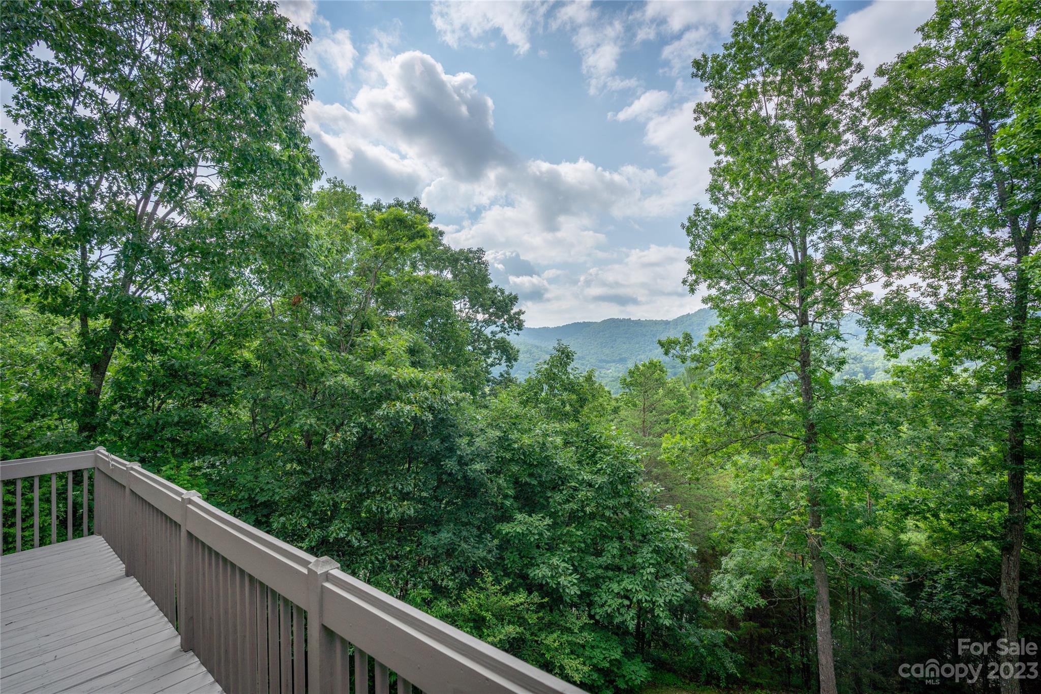 125 Black Oak Drive Asheville NC 28804