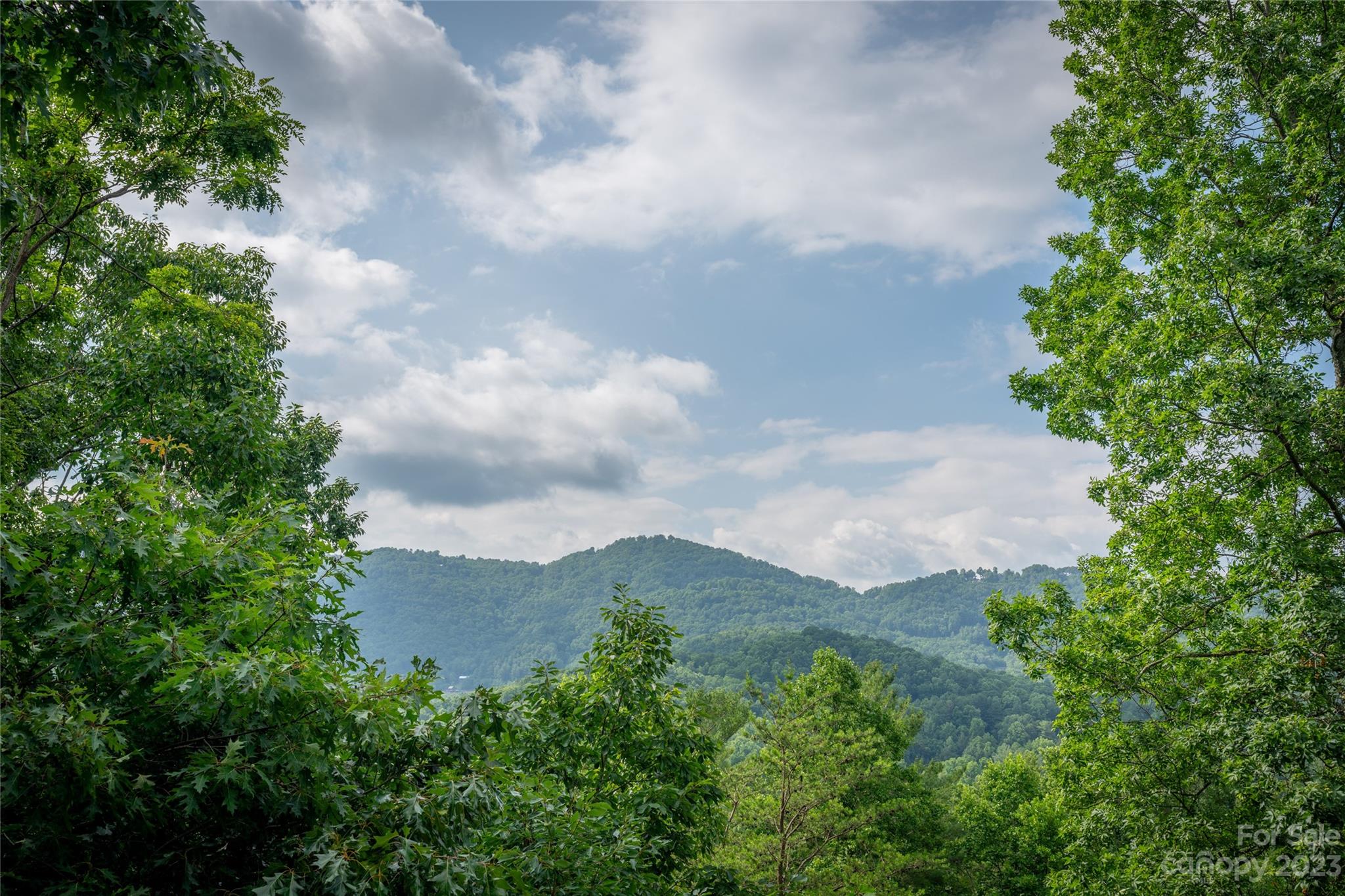 125 Black Oak Drive Asheville NC 28804