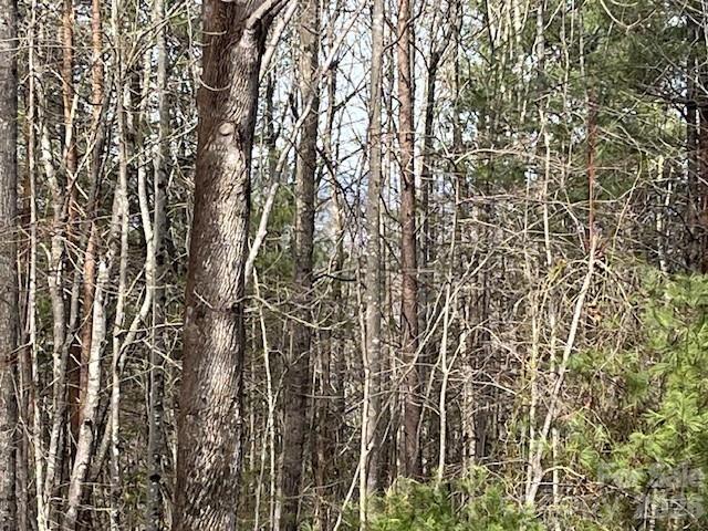 3645 Blue Door School Road Lenoir NC 28645
