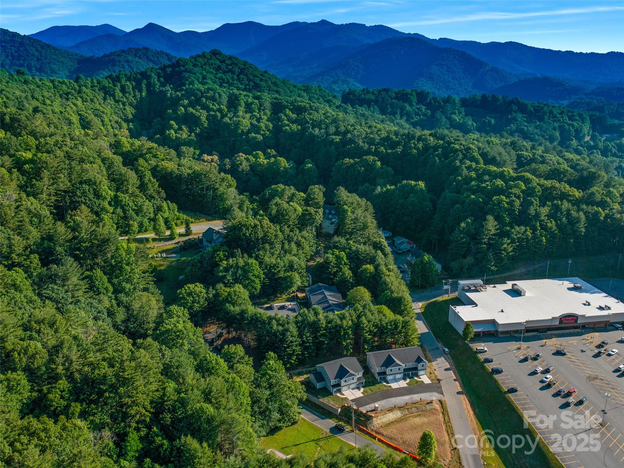 100 Red Twig Lane Burnsville NC 28714