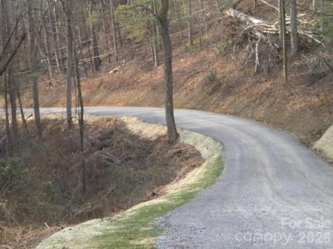 67 Earwood Ridge Road Fairview NC 28730