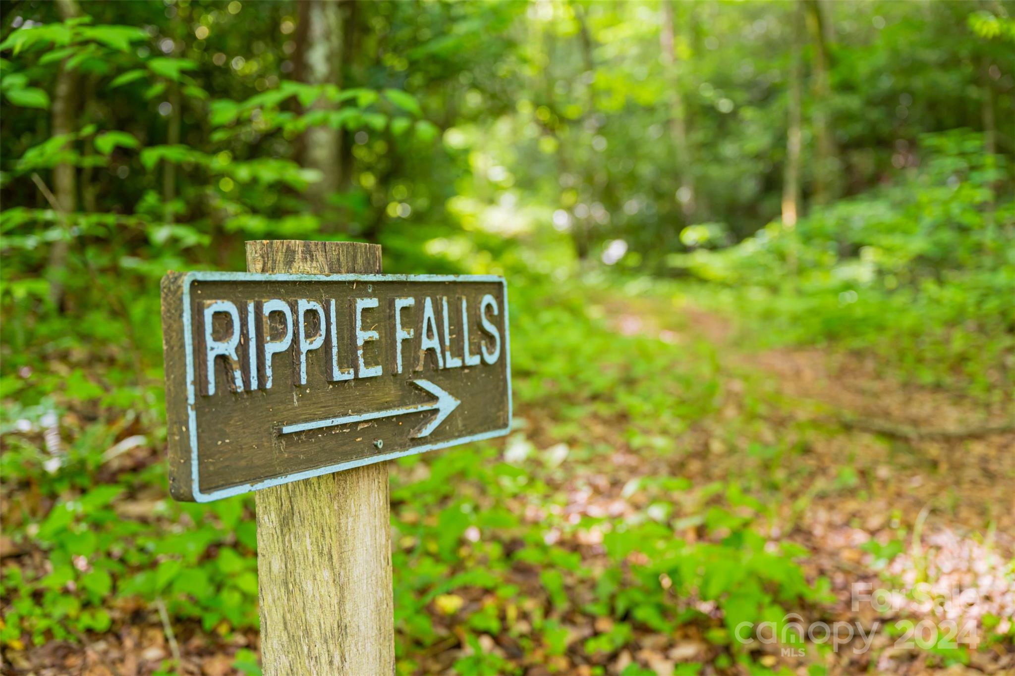 210 High Hickory Trail Swannanoa NC 28778