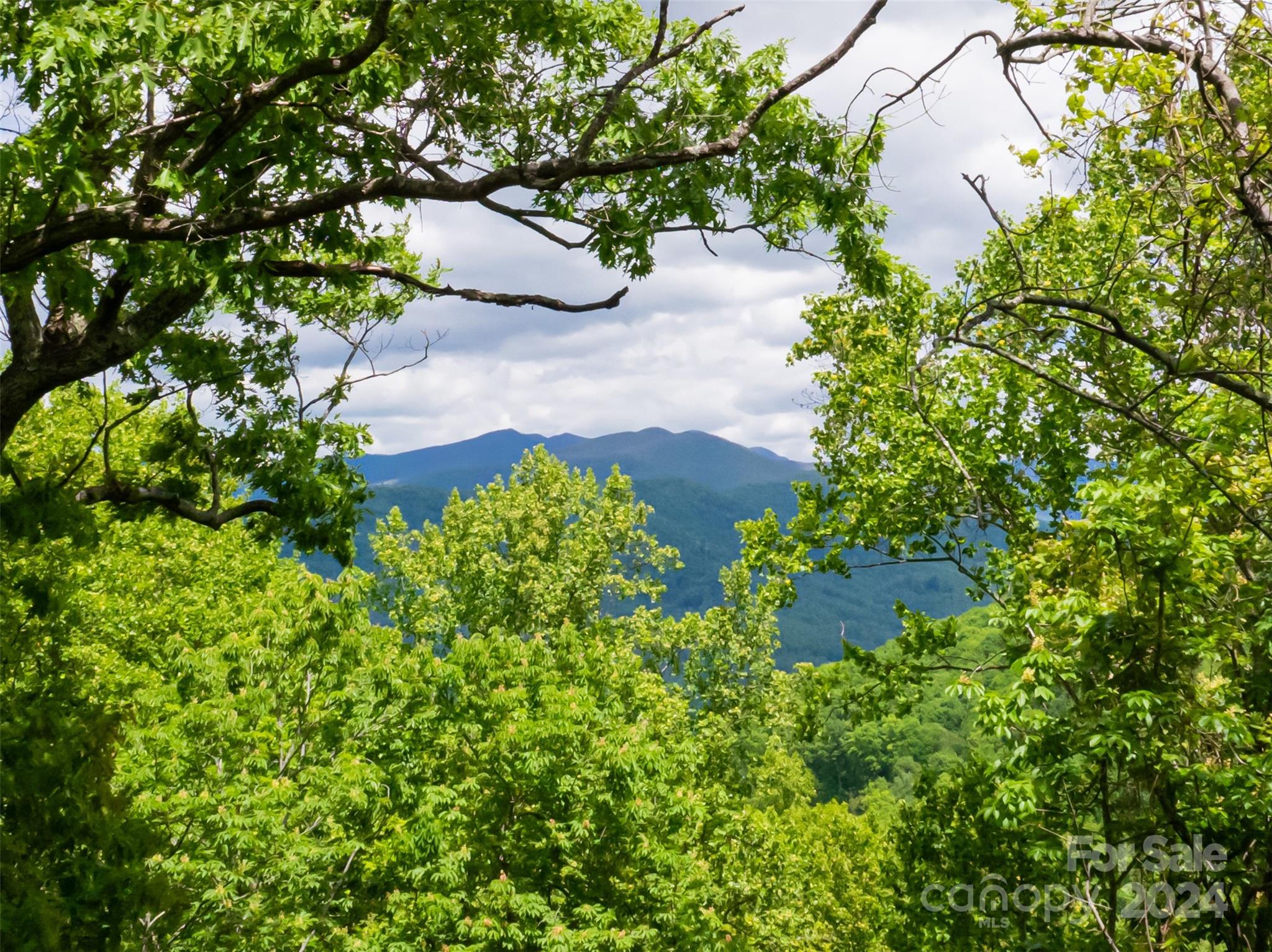 210 High Hickory Trail Swannanoa NC 28778