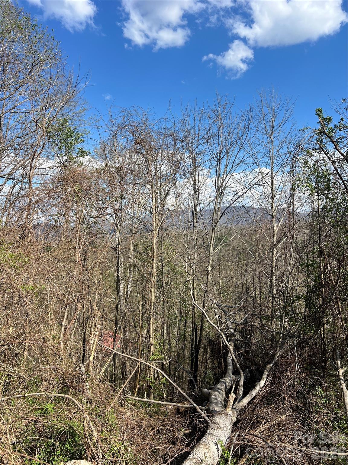 150 Combo Court Waynesville NC 28786
