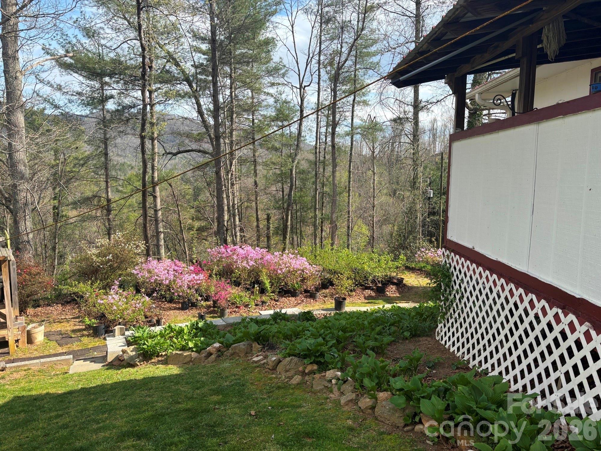 493 Franklintown Road Spruce Pine NC 28777