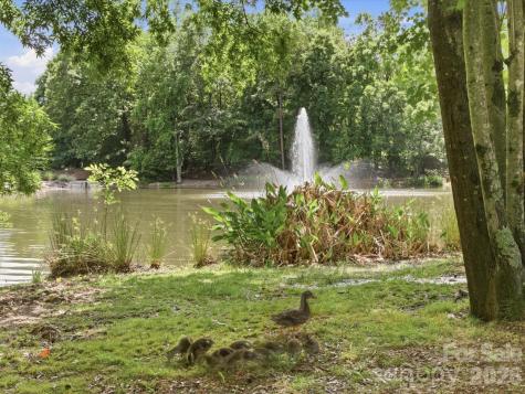 9804 Park Springs Court Charlotte NC 28210