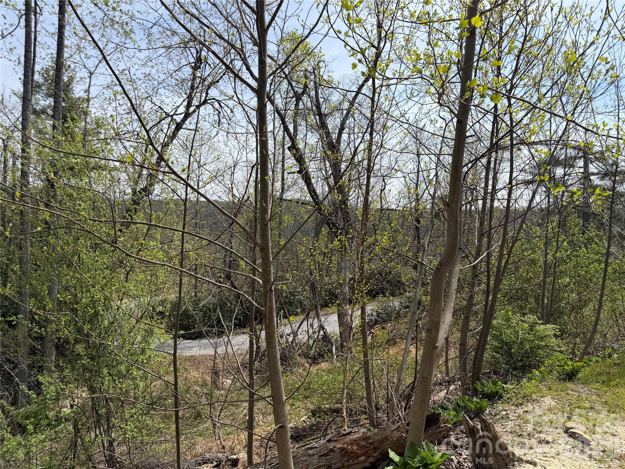273 Mcmillan Drive Hendersonville NC 28792