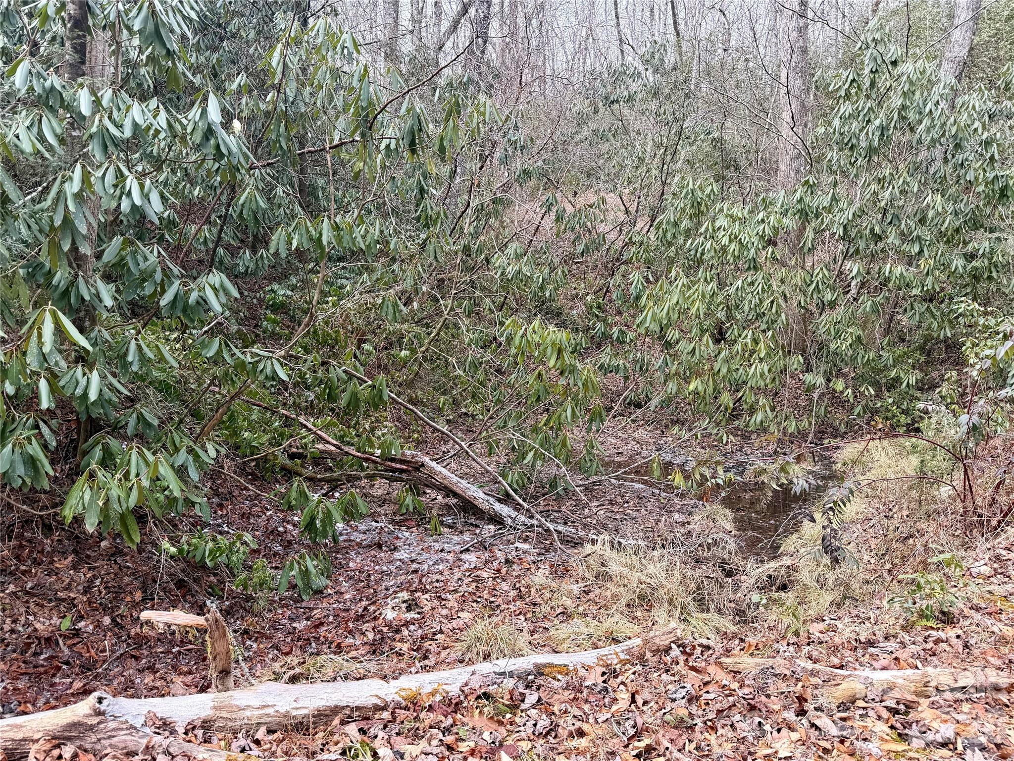 581 Hubbard Hollow Road Rosman NC 28772