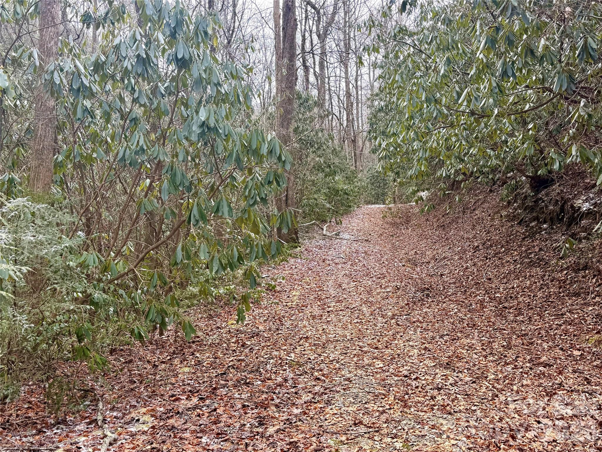 581 Hubbard Hollow Road Rosman NC 28772
