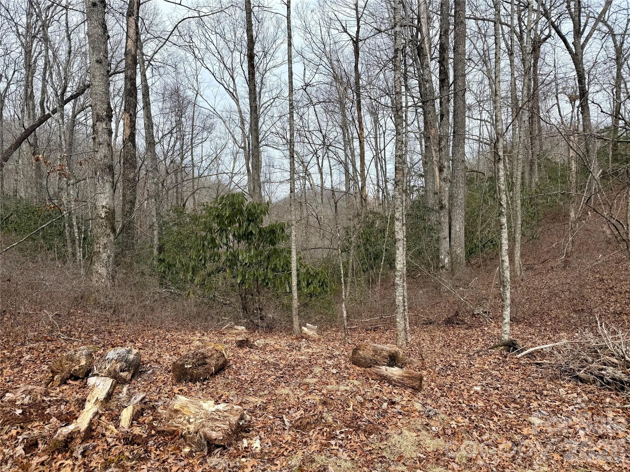 581 Hubbard Hollow Road Rosman NC 28772
