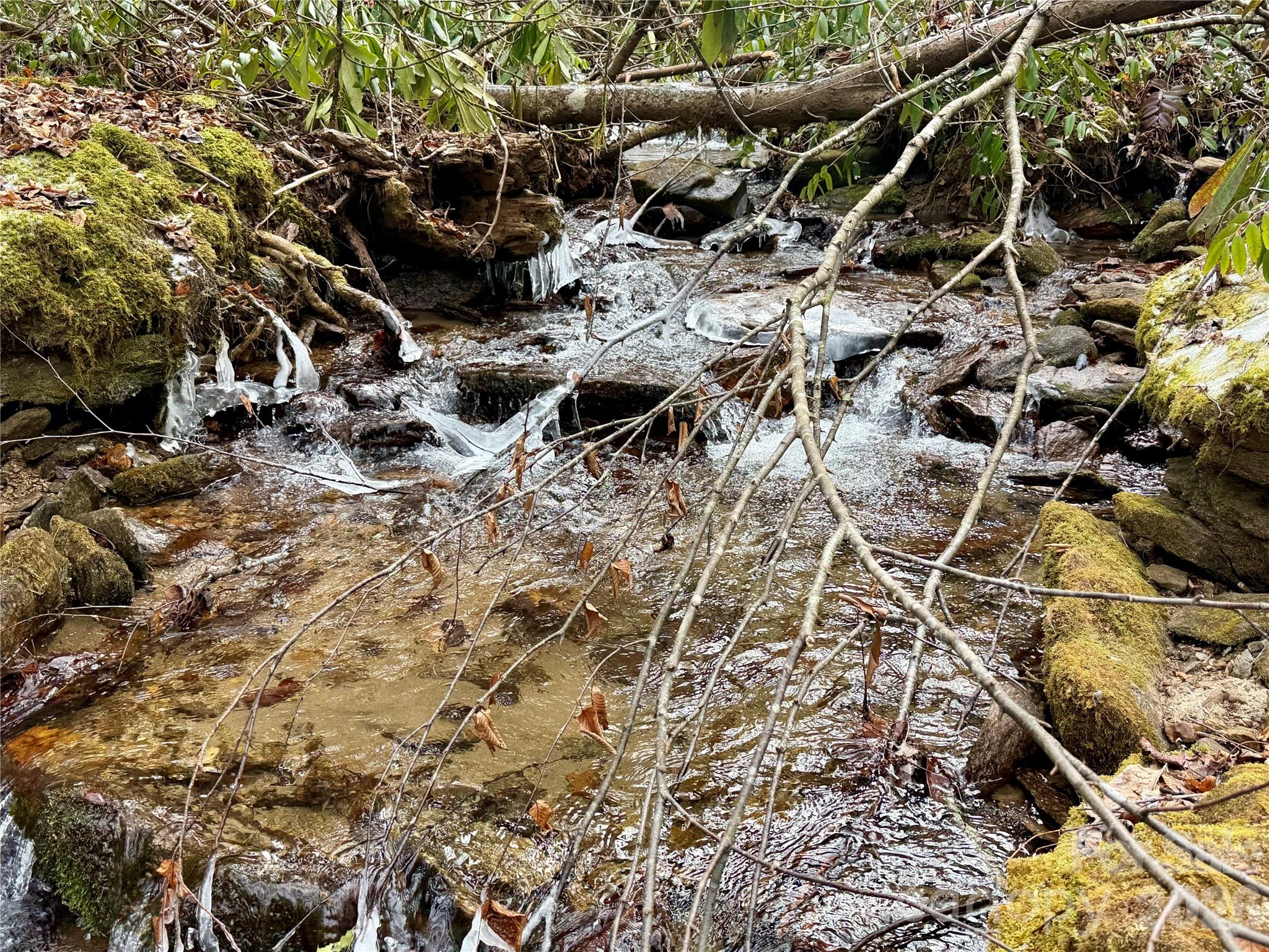 581 Hubbard Hollow Road Rosman NC 28772