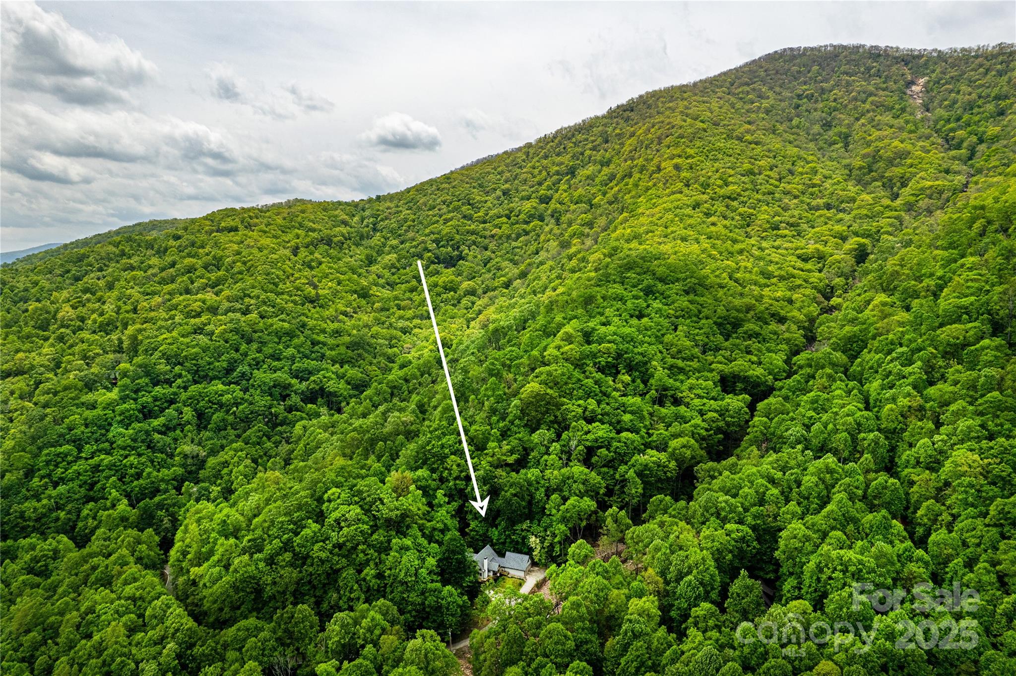 58 Great Aspen Way Black Mountain NC 28711