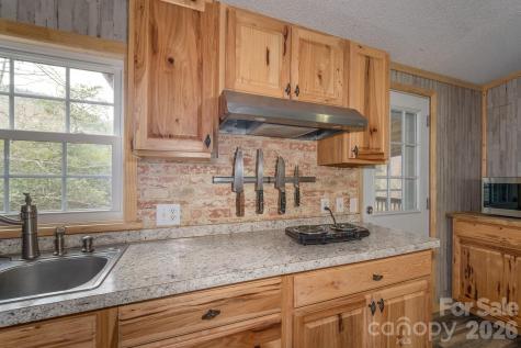 310 Sassafras Gap Lane Brevard NC 28712