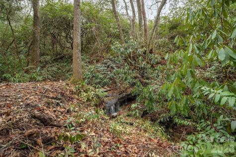310 Sassafras Gap Lane Brevard NC 28712