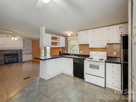 204 Cookies Way Arden NC 28704