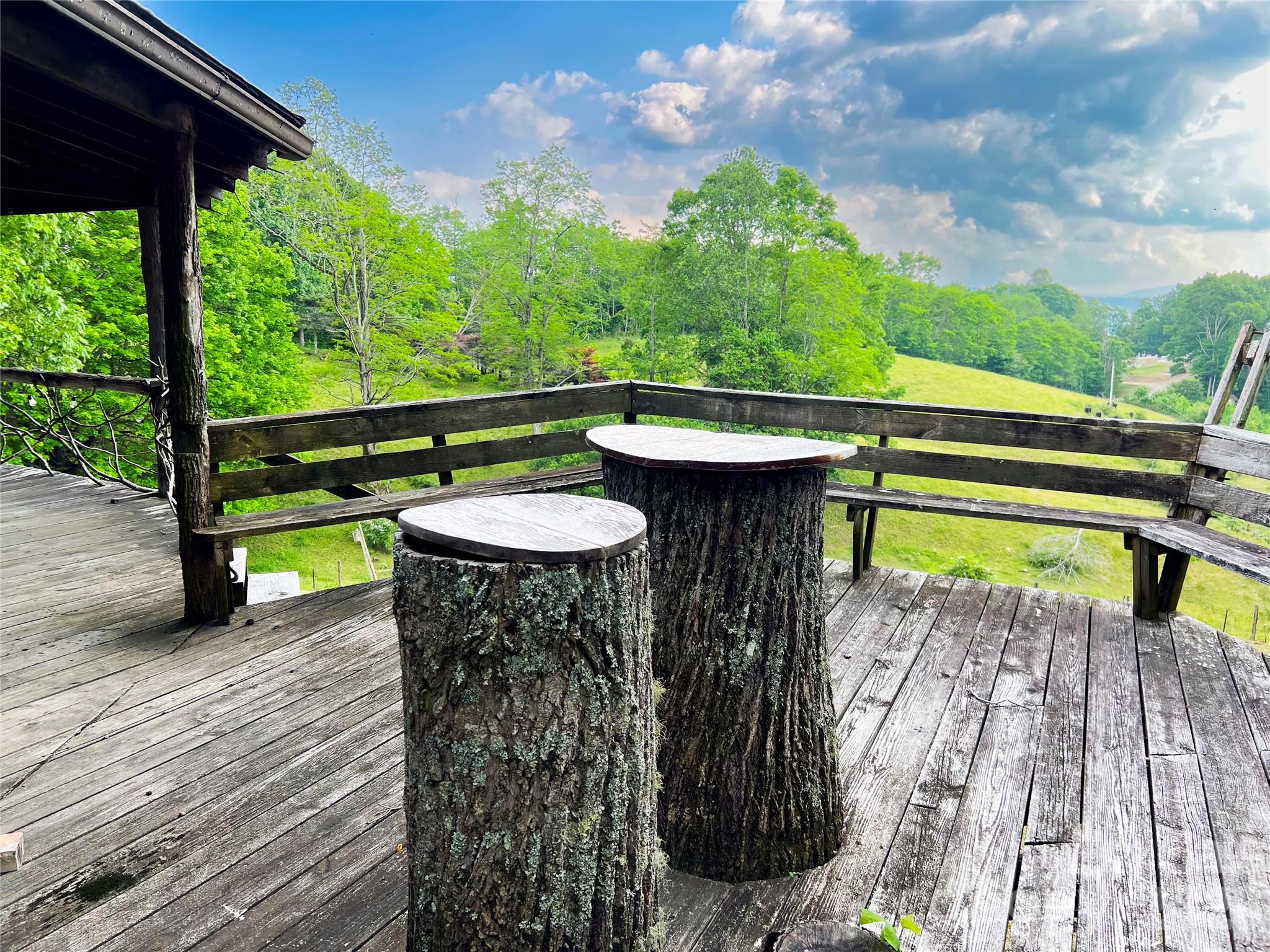 745 Broom Road Tuckasegee NC 28783