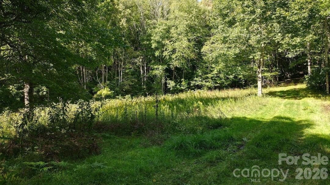 745 Broom Road Tuckasegee NC 28783