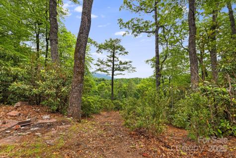 285 Fairway Loop Burnsville NC 28714