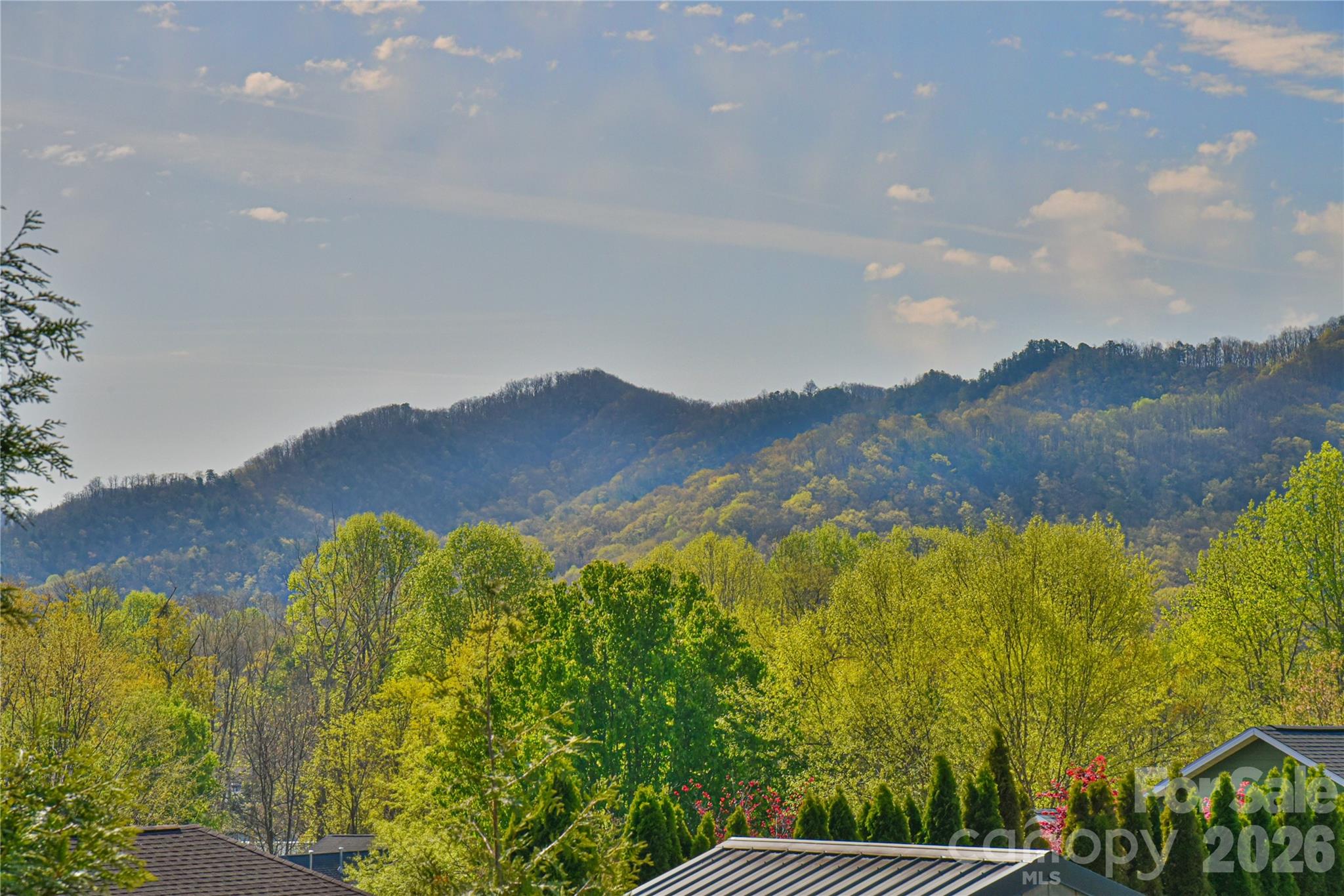 310 Portmanvilla Road Black Mountain NC 28711