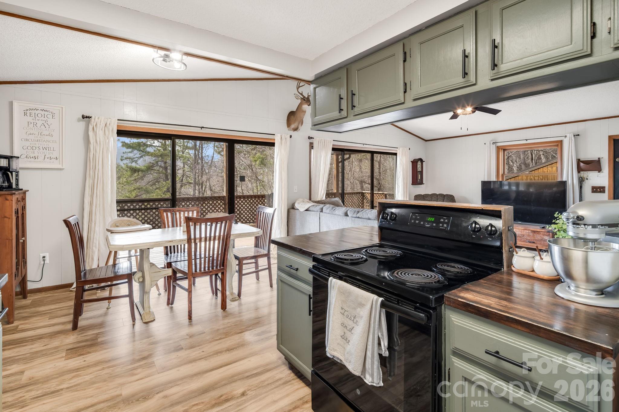 1330 Maple Springs Drive Waynesville NC 28785